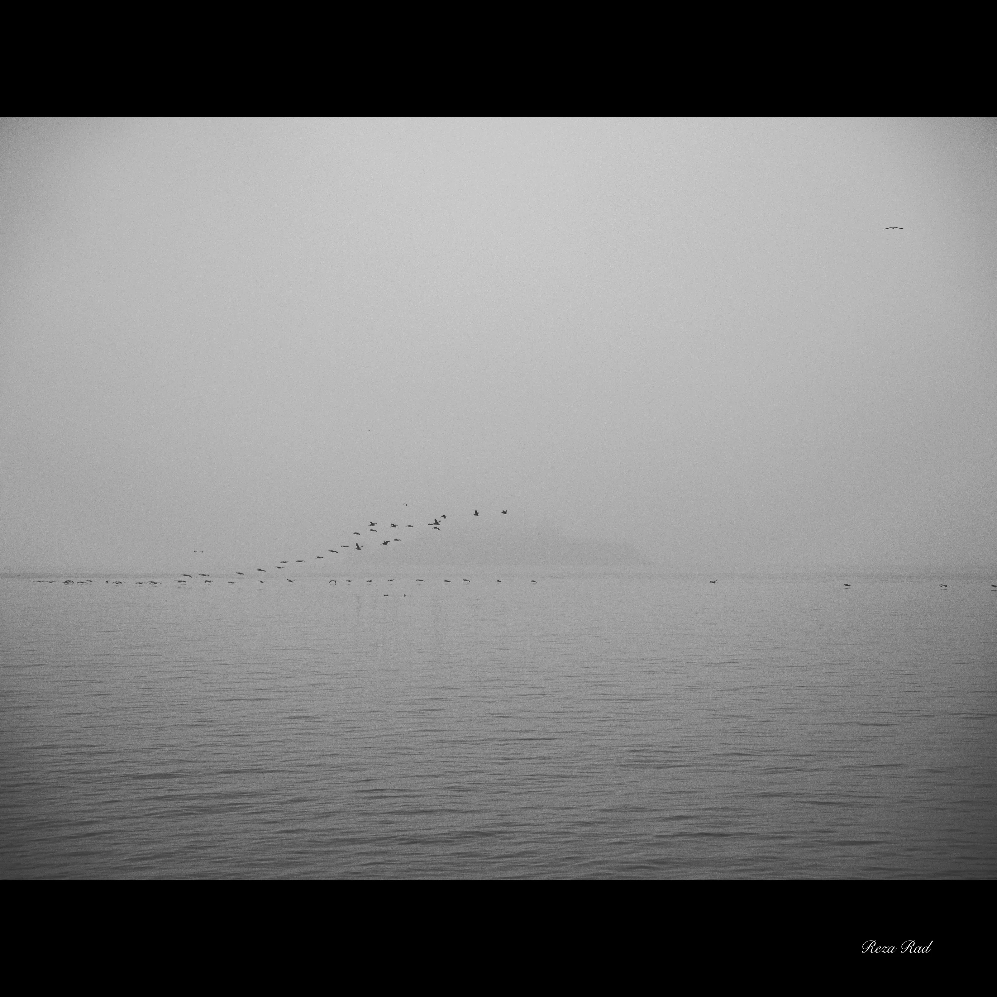 Alone in the Bay