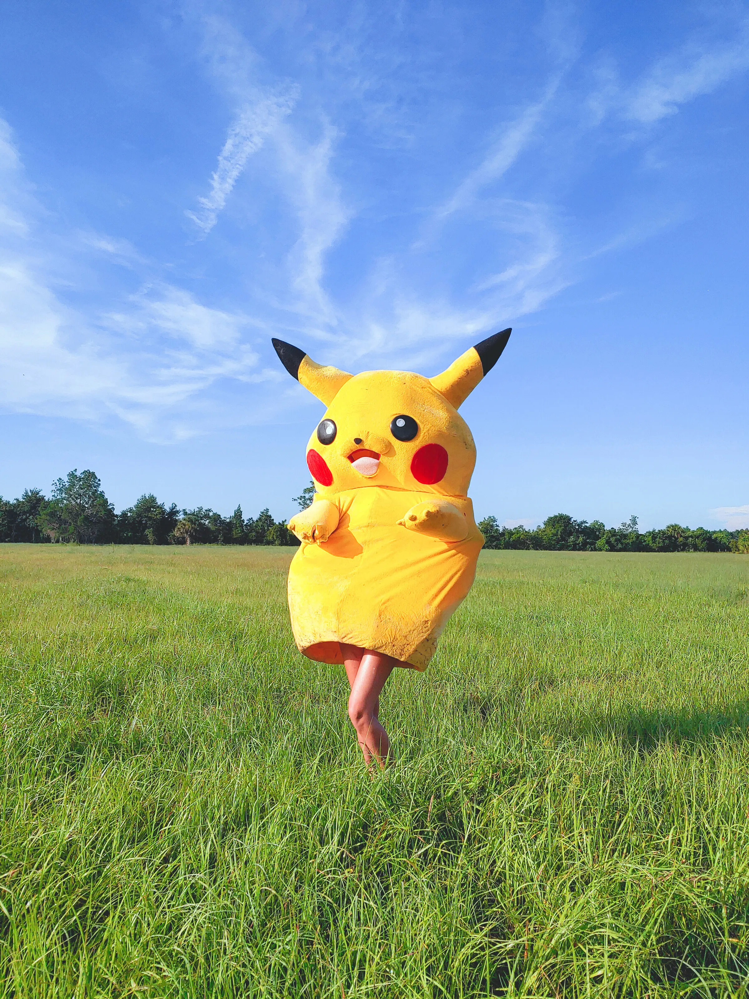 Poke in the Wild