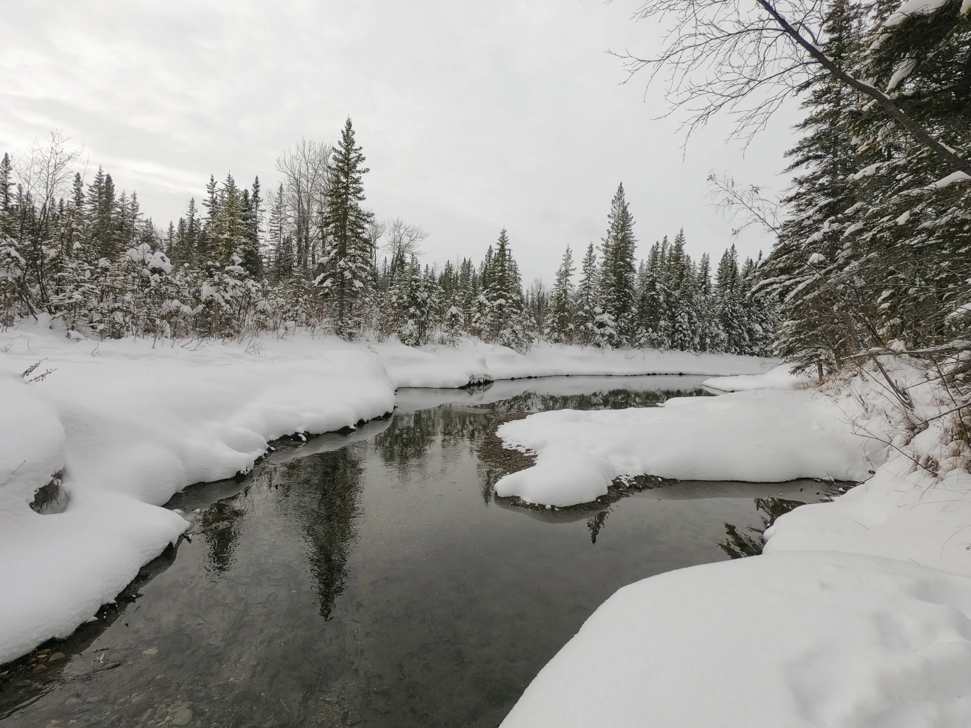 Winter Exploring