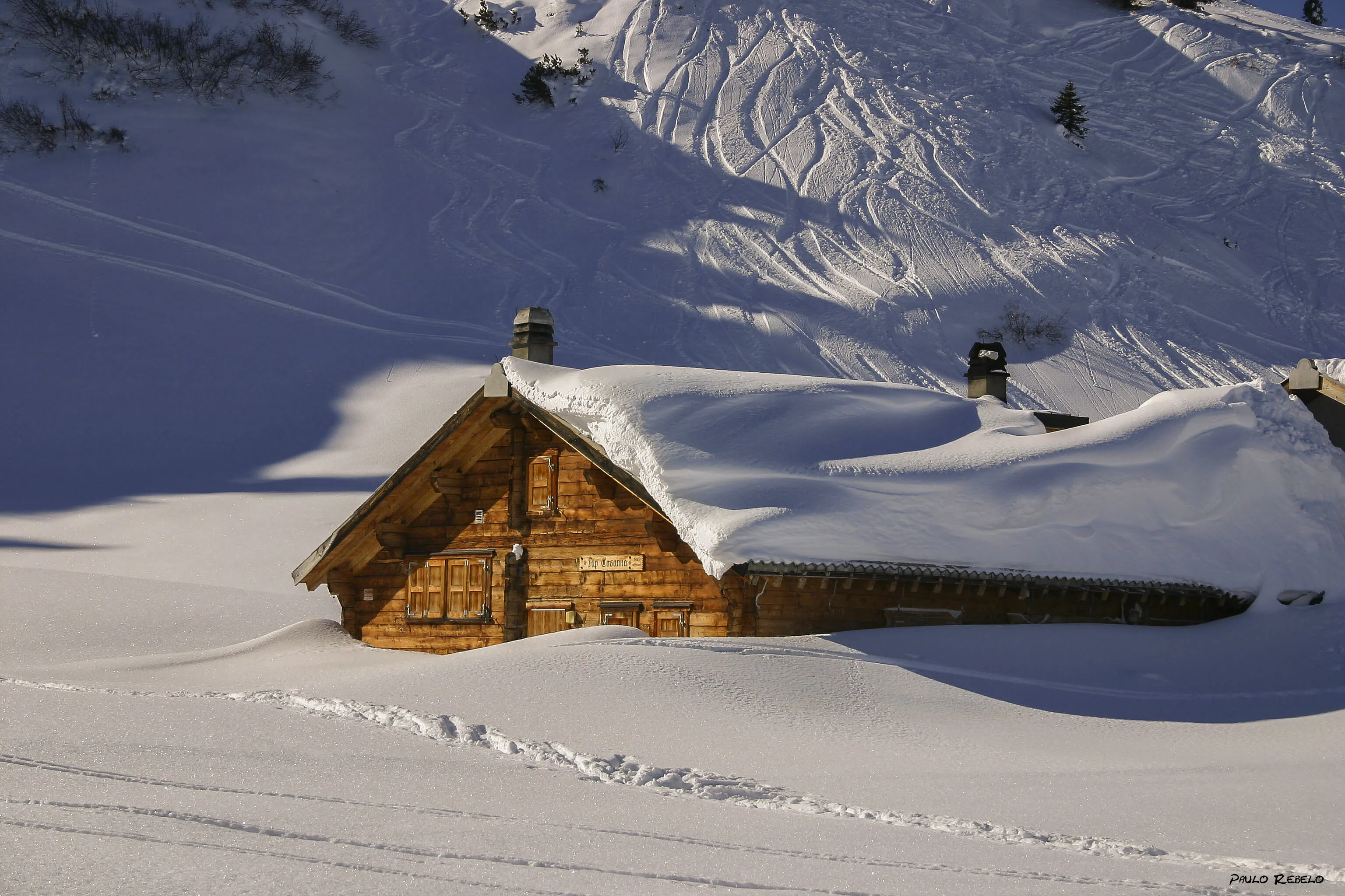 Davos