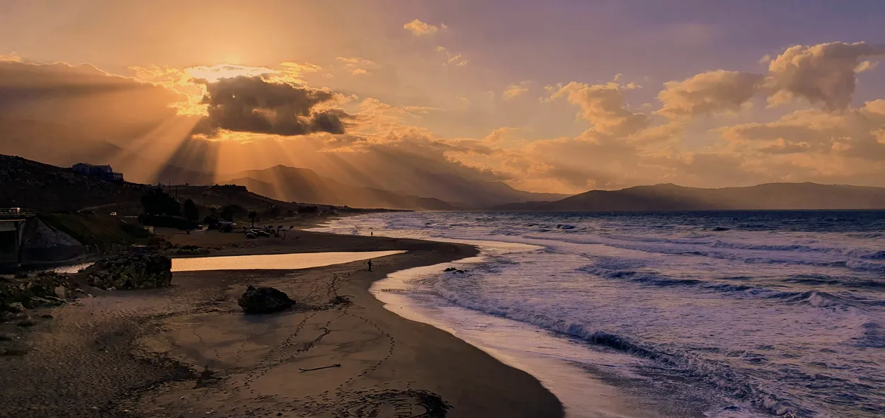Entry 11693570
