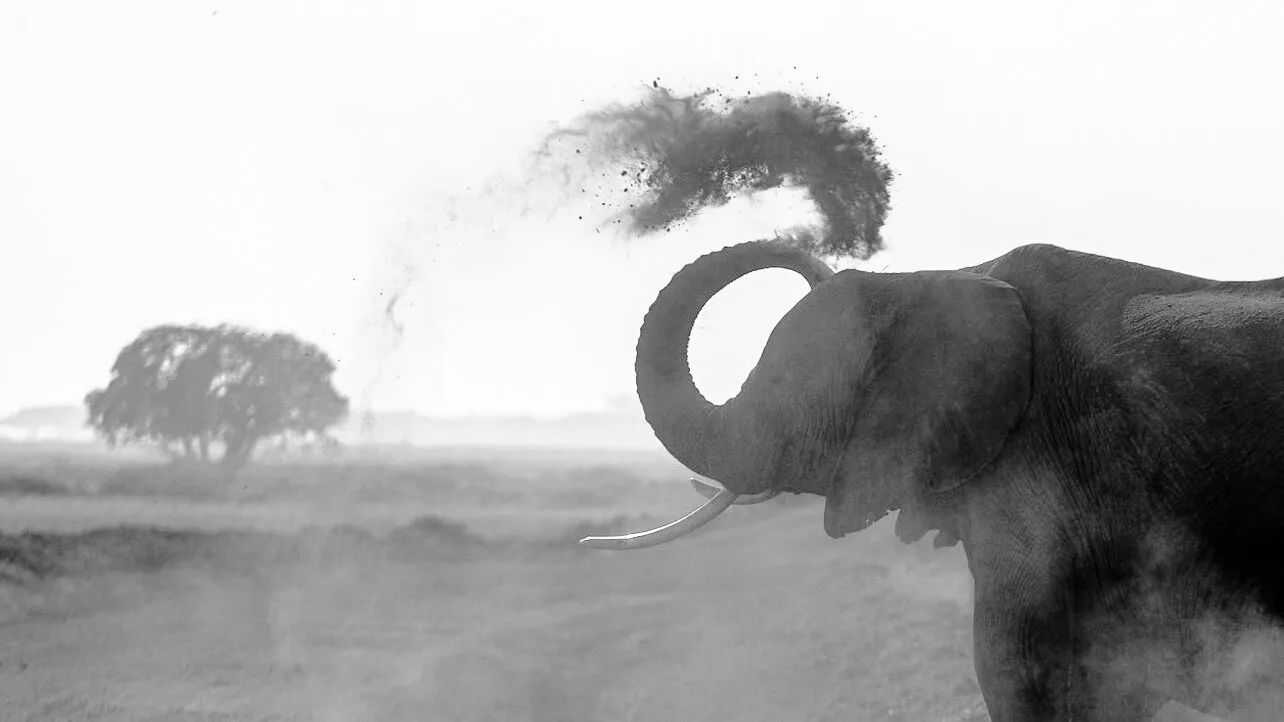 Blowin' in the air
