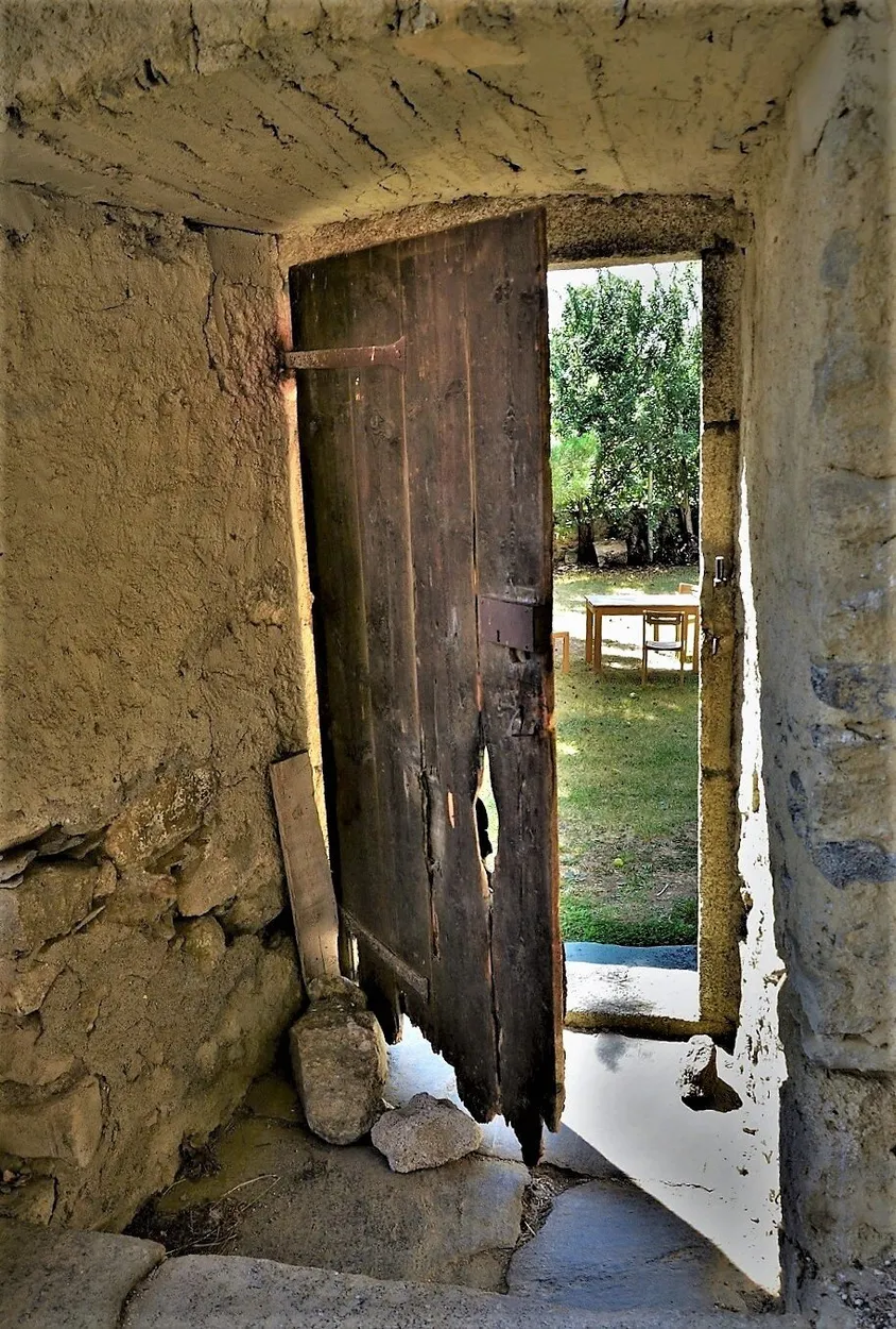 Entry 11345259