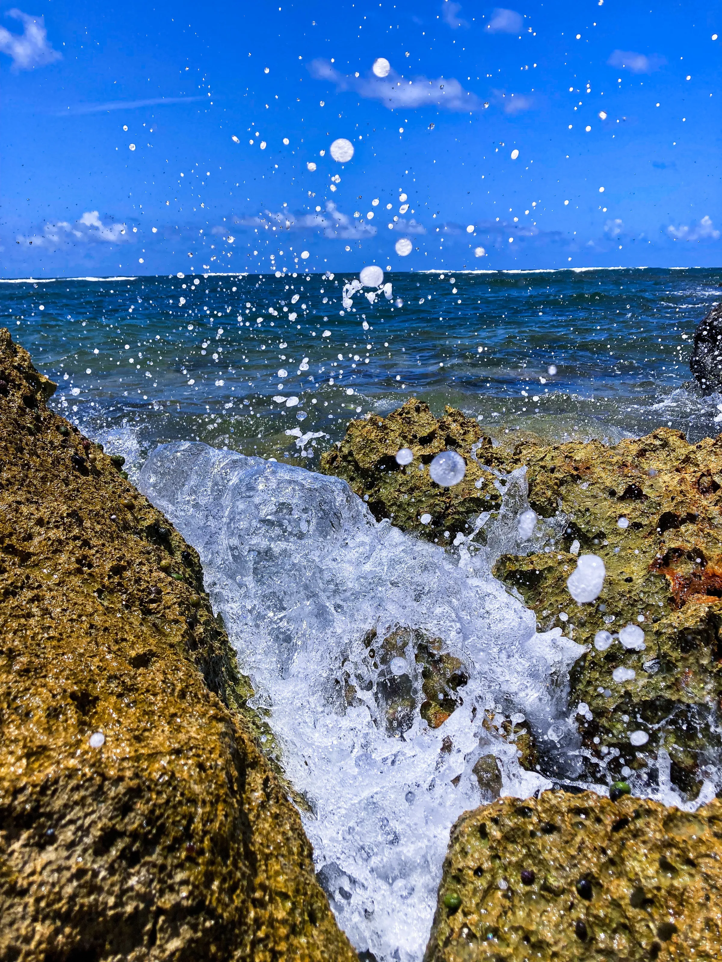 Salty Spray