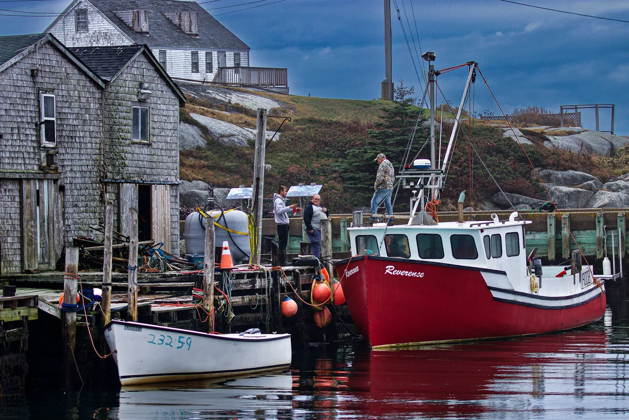 Entry 20165534