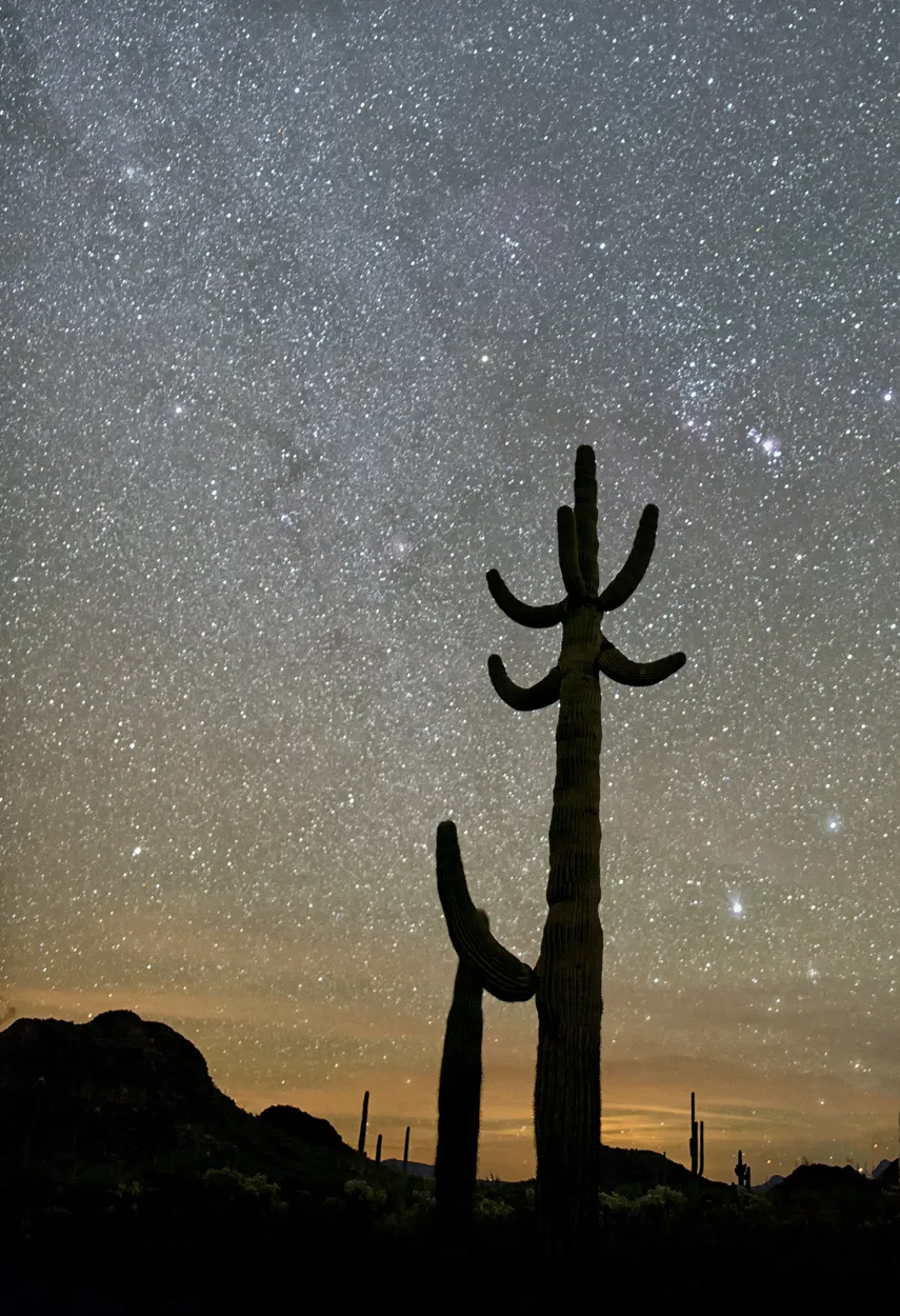 Entry 11352593