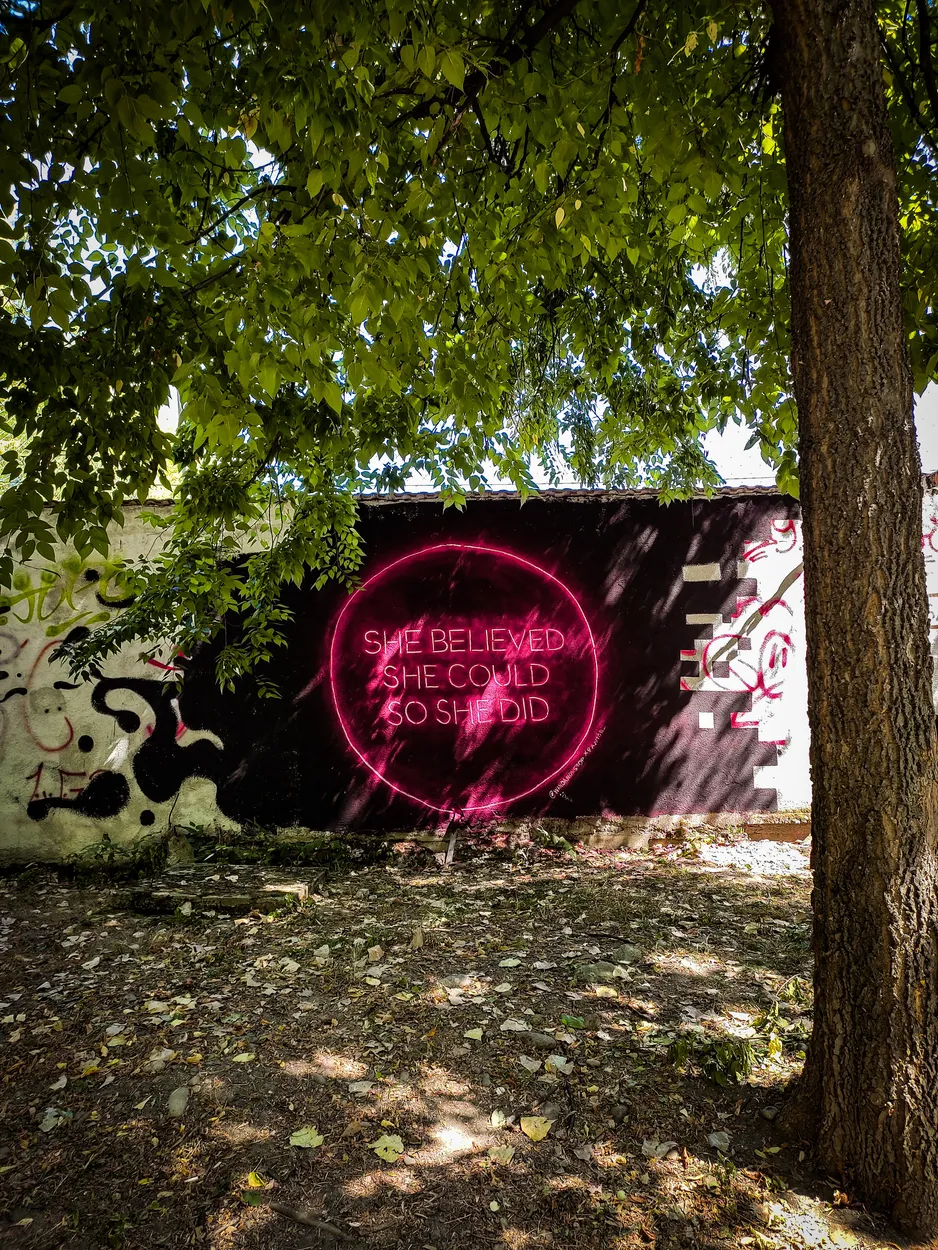 Entry 11355431