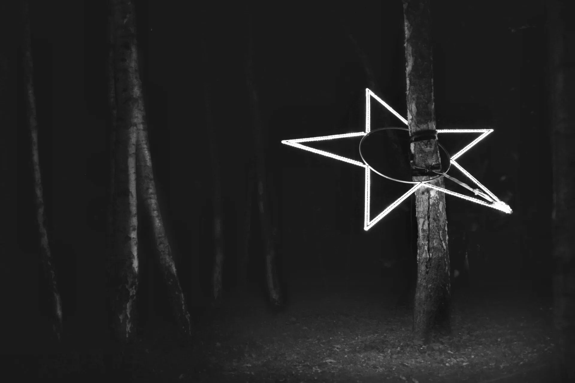 star