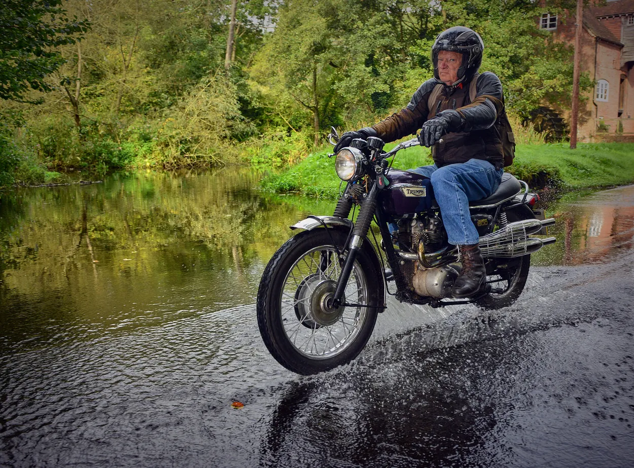 Entry 11371746