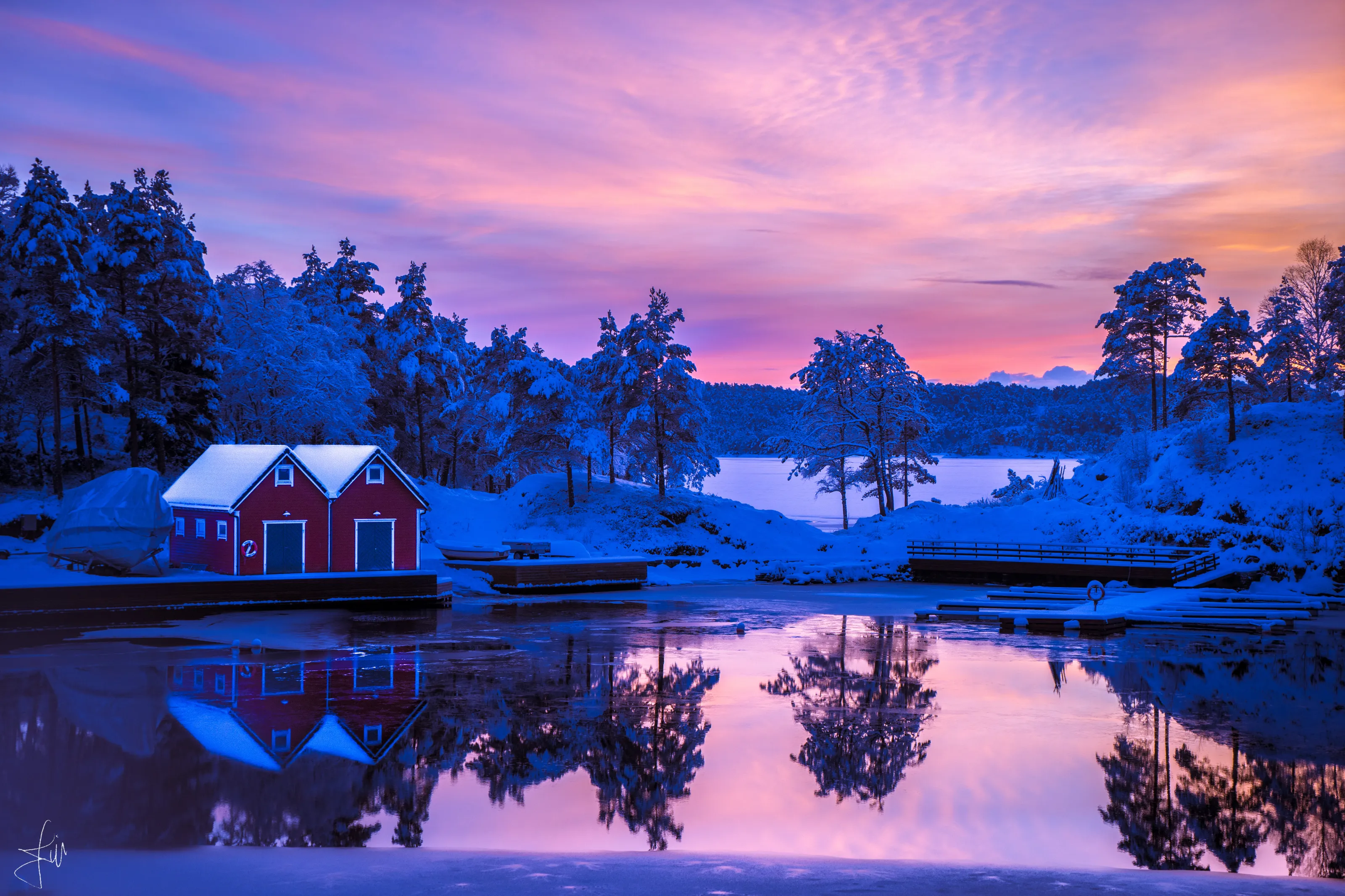 Winter wonderland