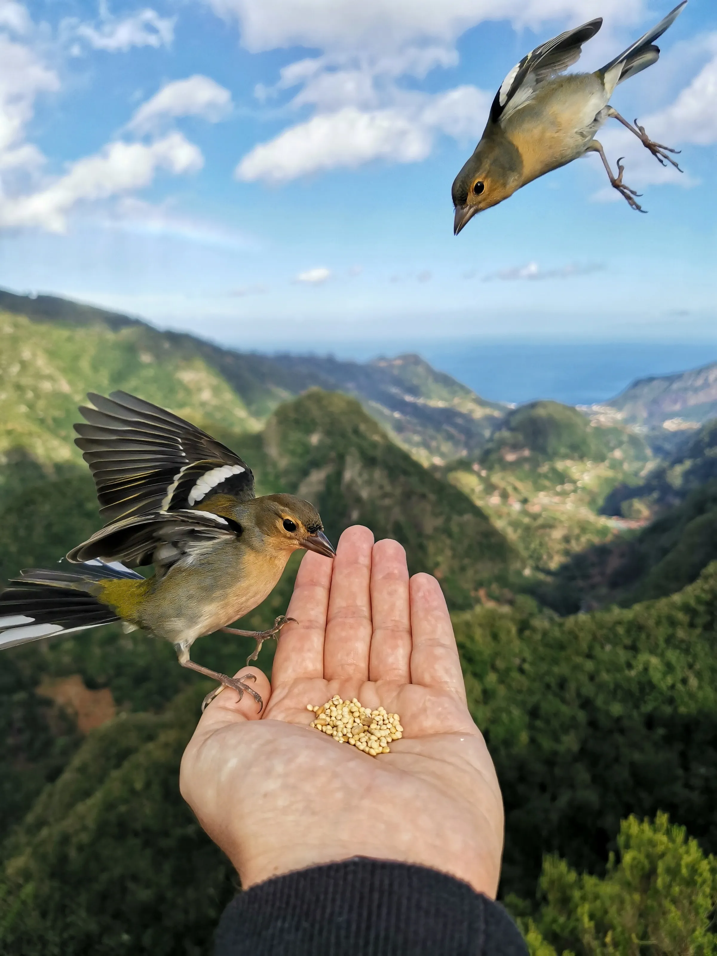 Feeding