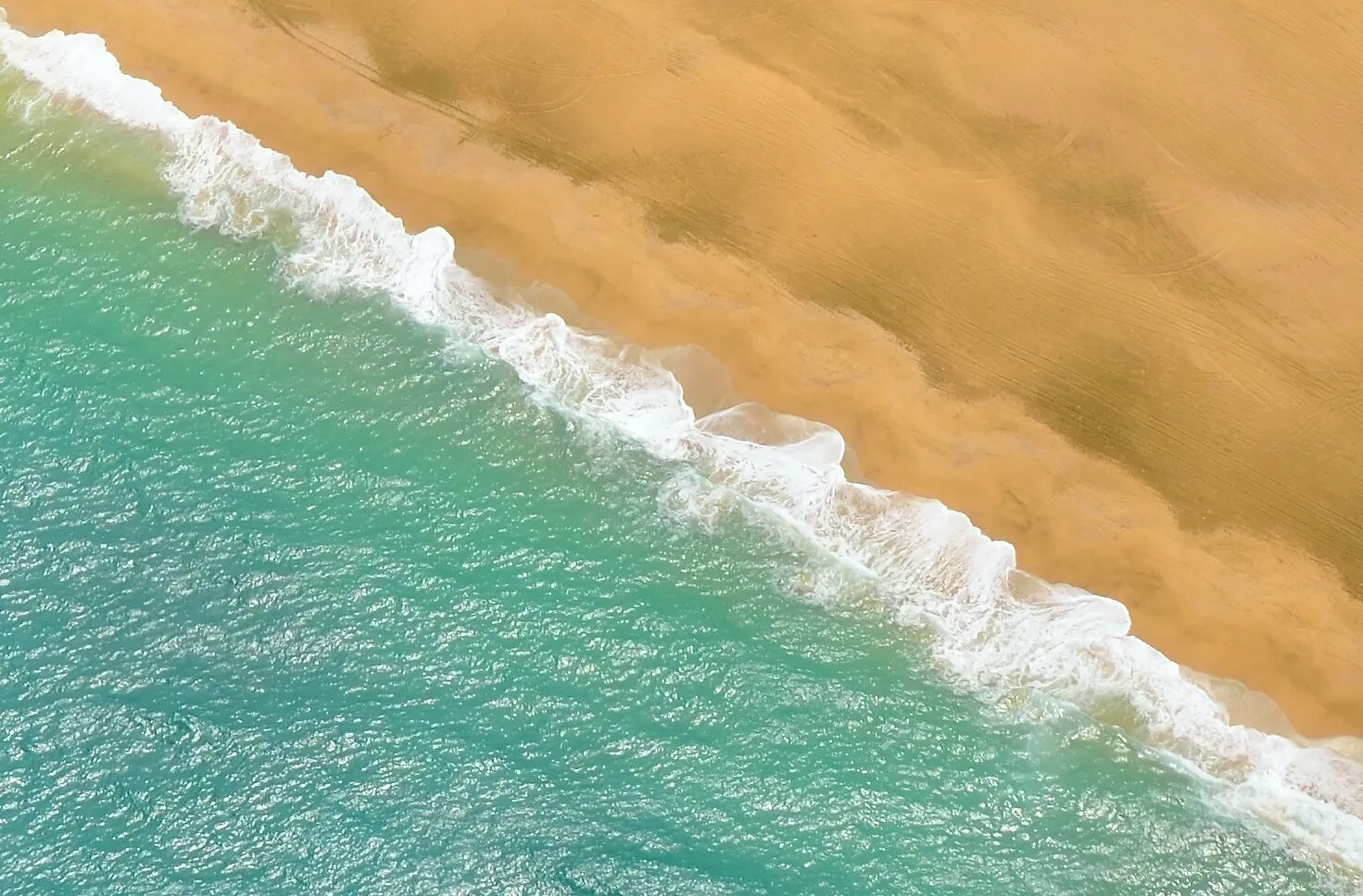 Banner image