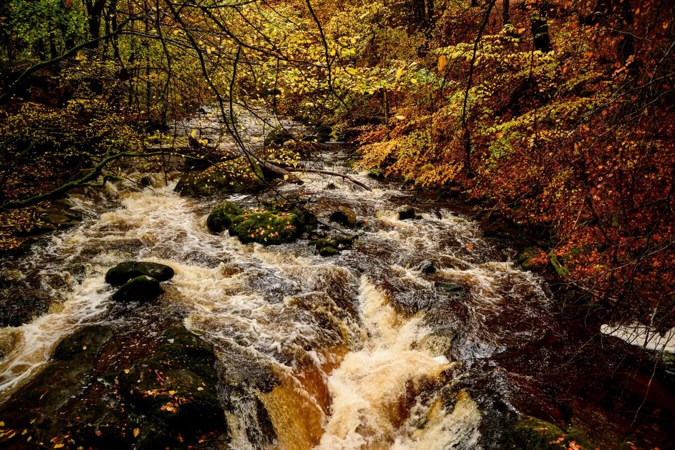 Autumn and falls