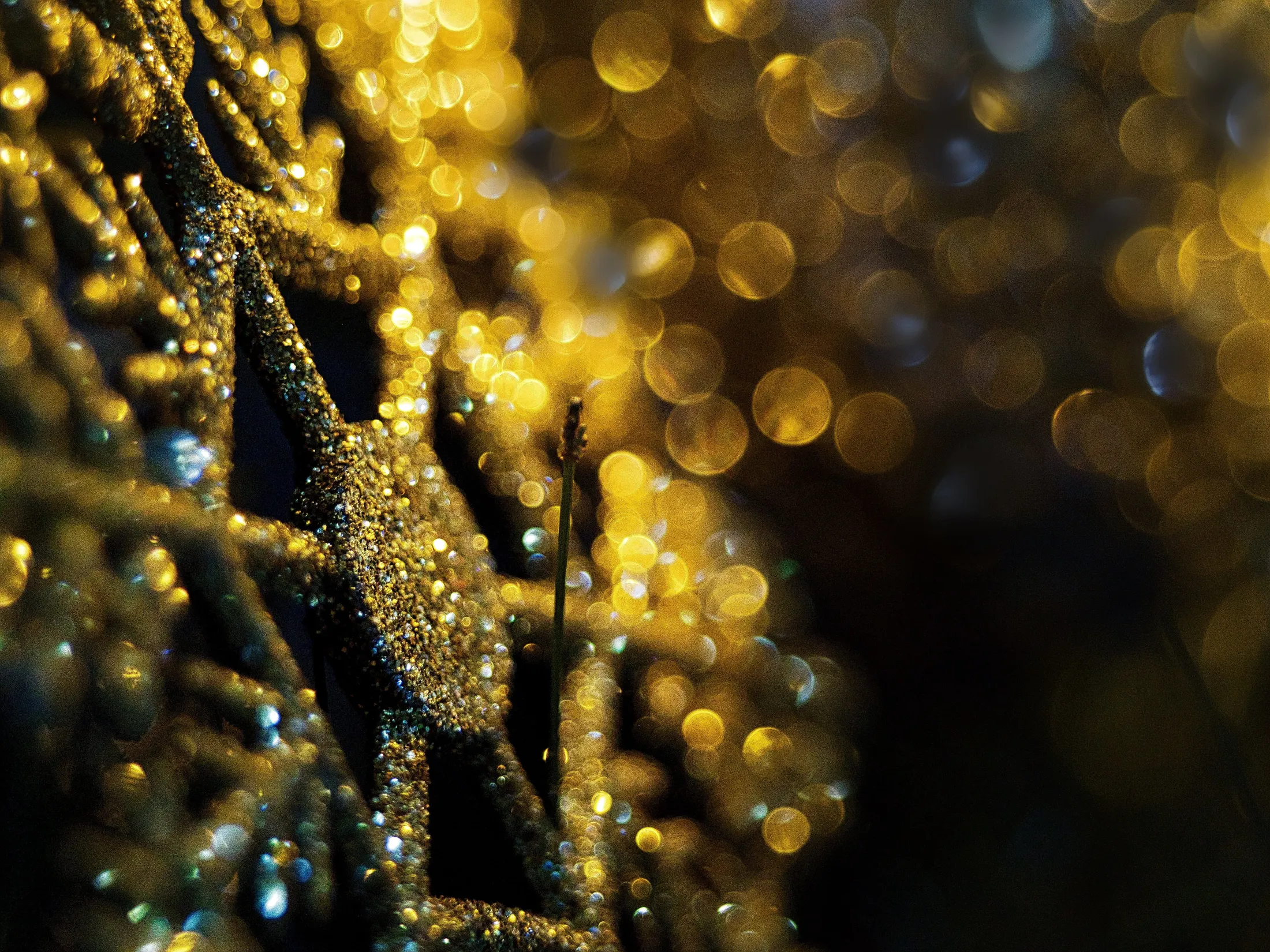 Christmas Tree decoration