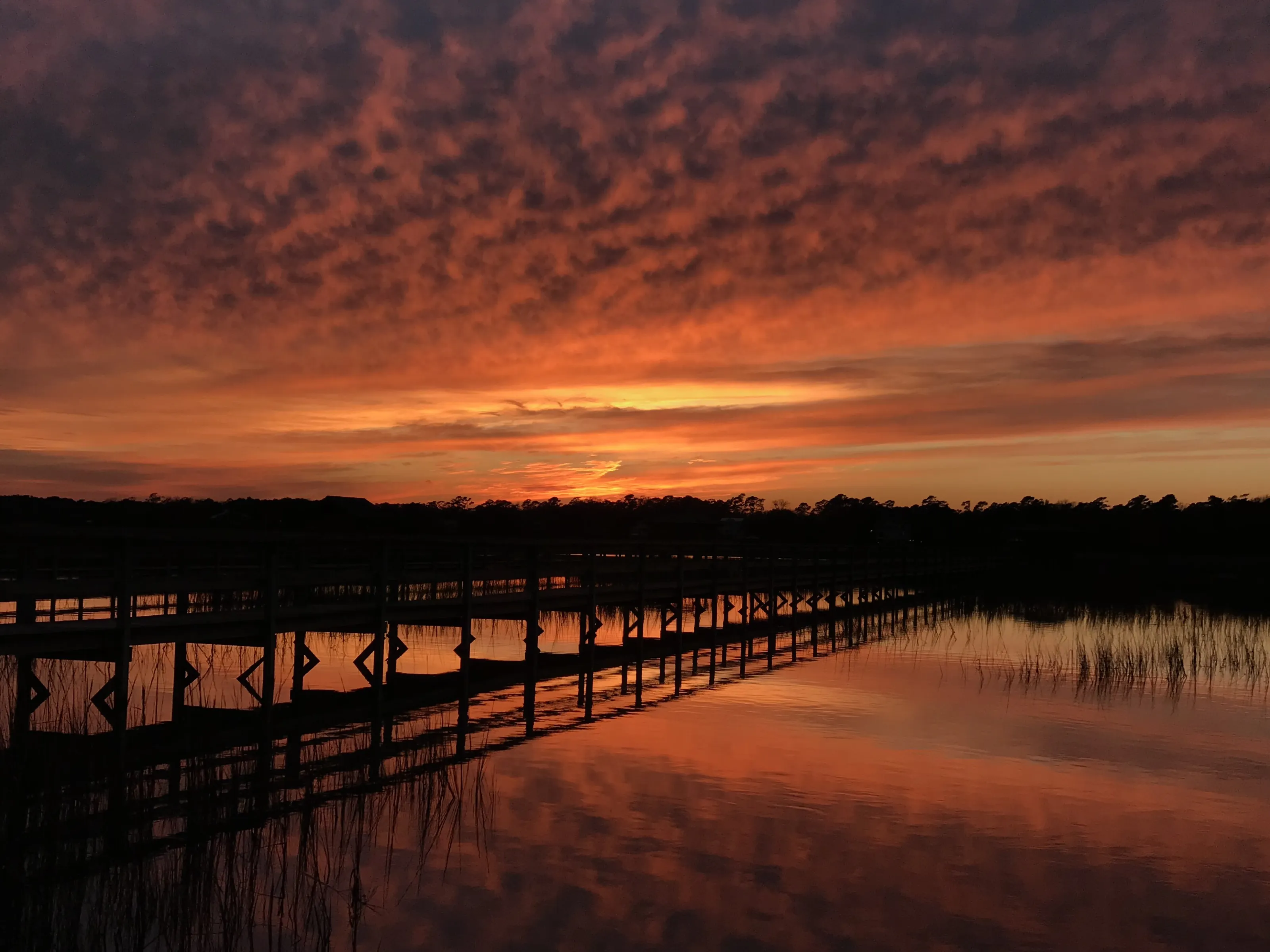 Sunset Over The Marsh
