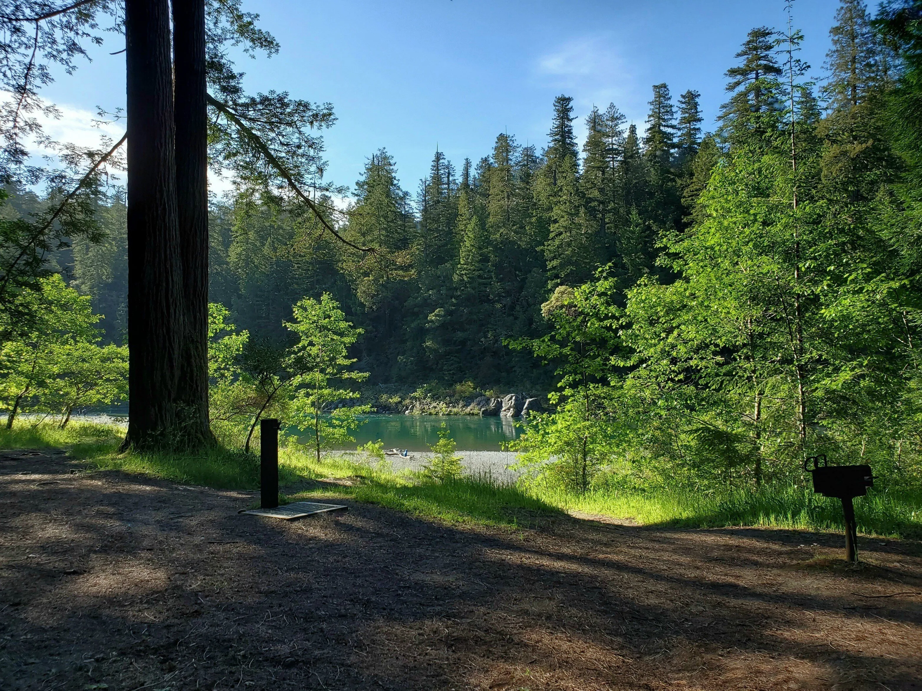 At Jedediah Smith State Park in Hiouchi, CA.