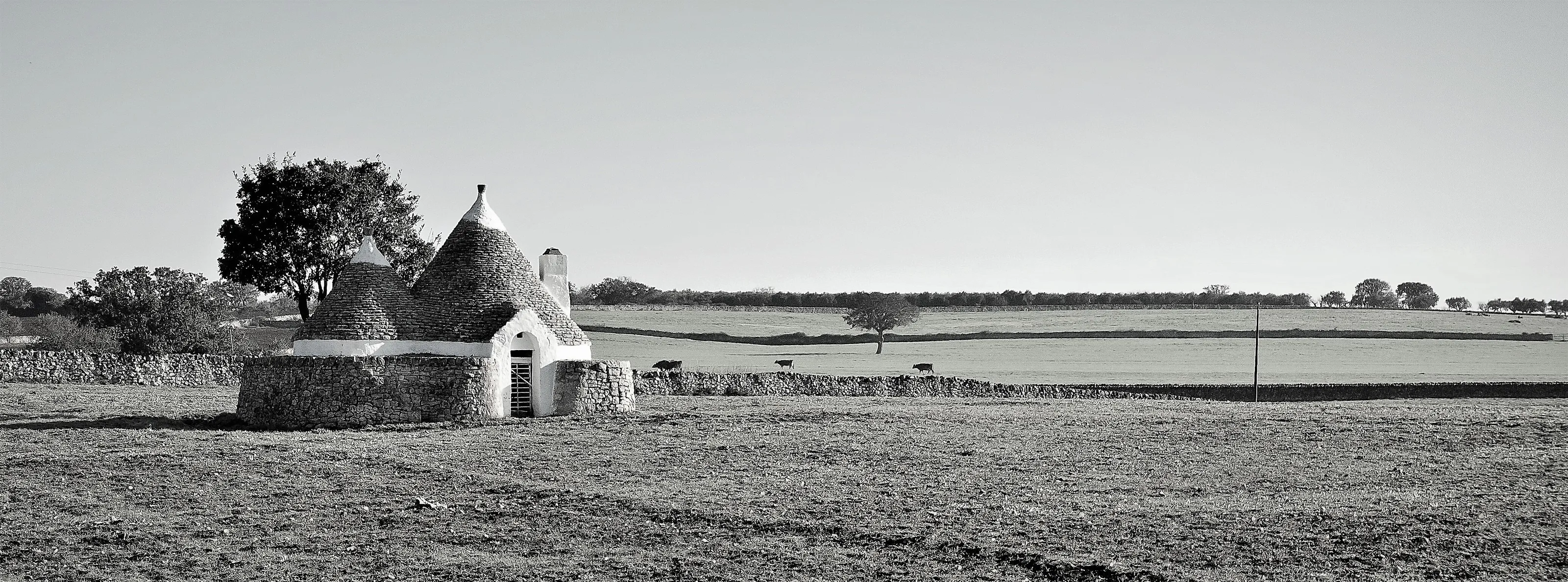 rural landscape over the hills of Puglia.