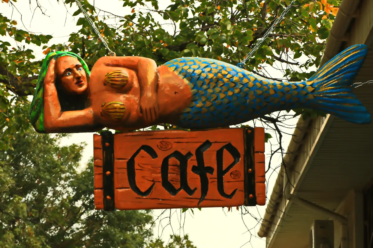 Entry 13826211