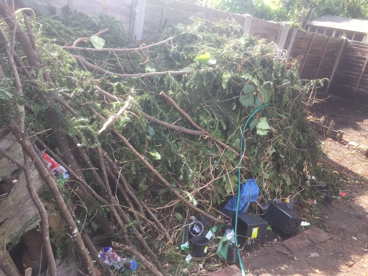 Entry 604081