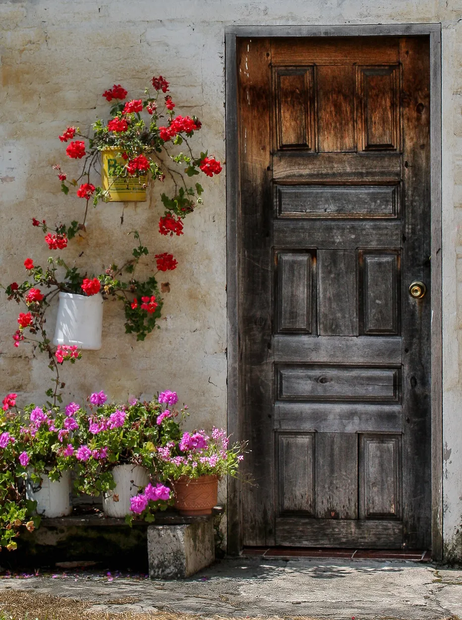 Entry 604287