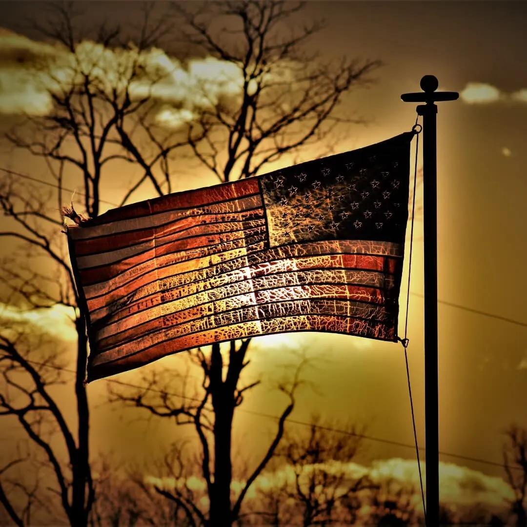 Freedom Flies