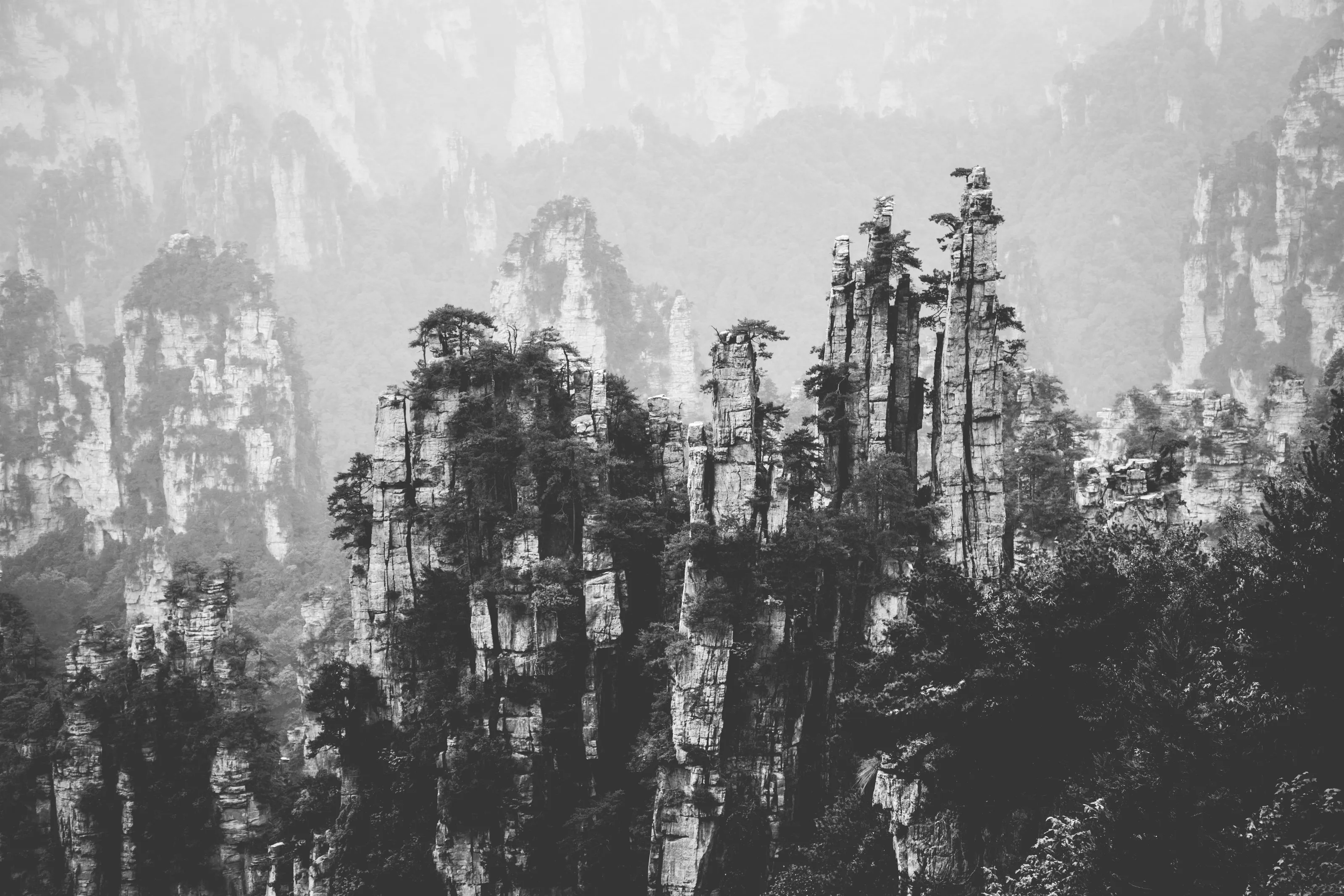 The vertical hills of the Zhangjiajie forest