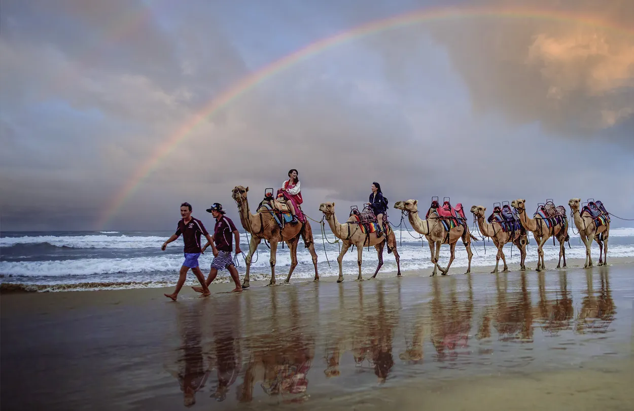 Entry 13416910