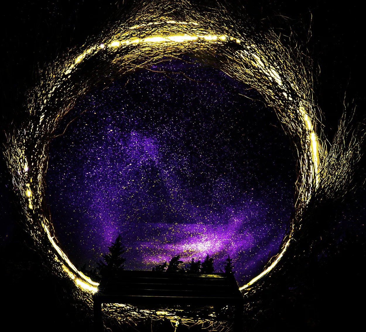 Entry 12809513