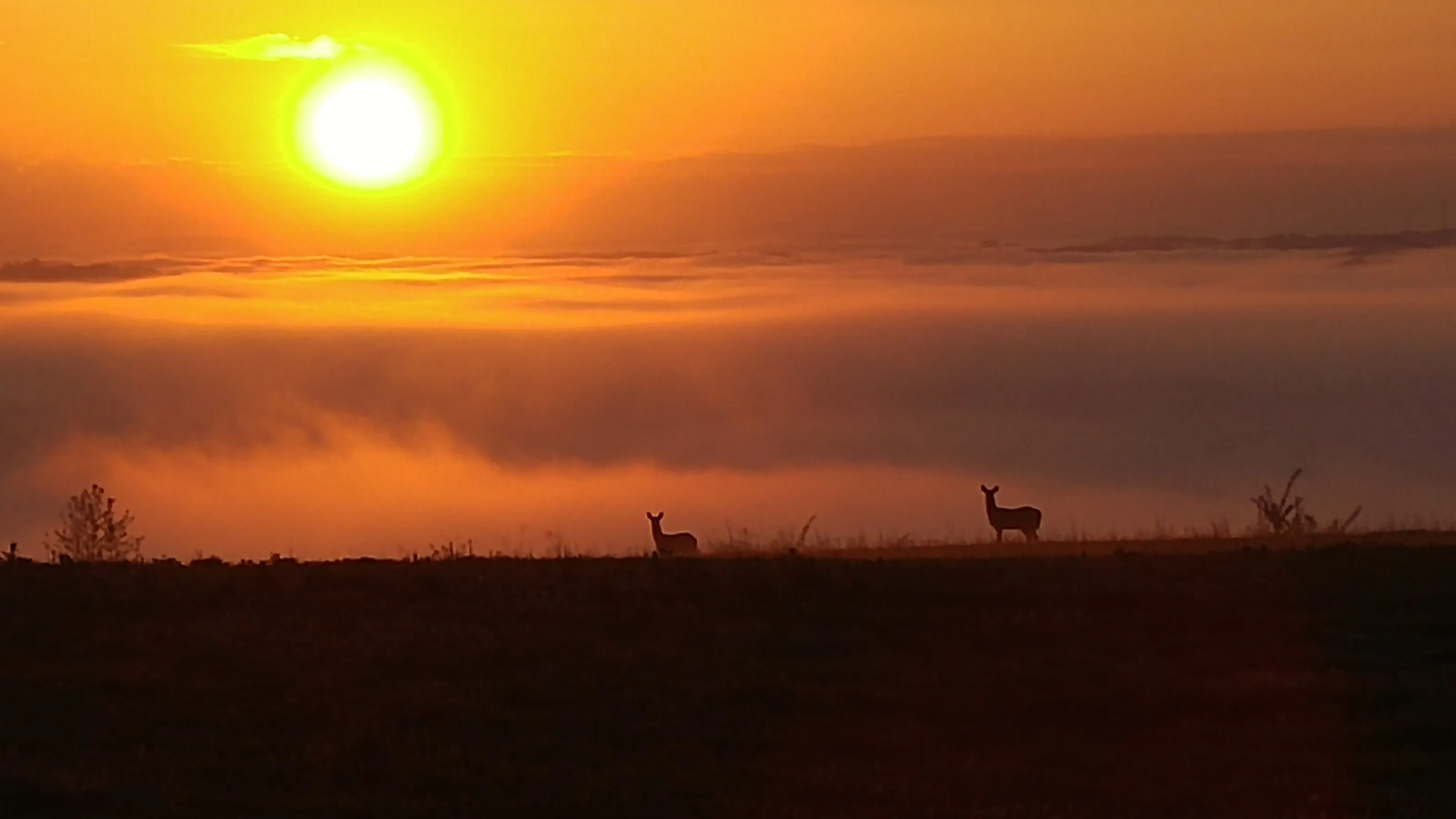 Virginia mountain sunrise