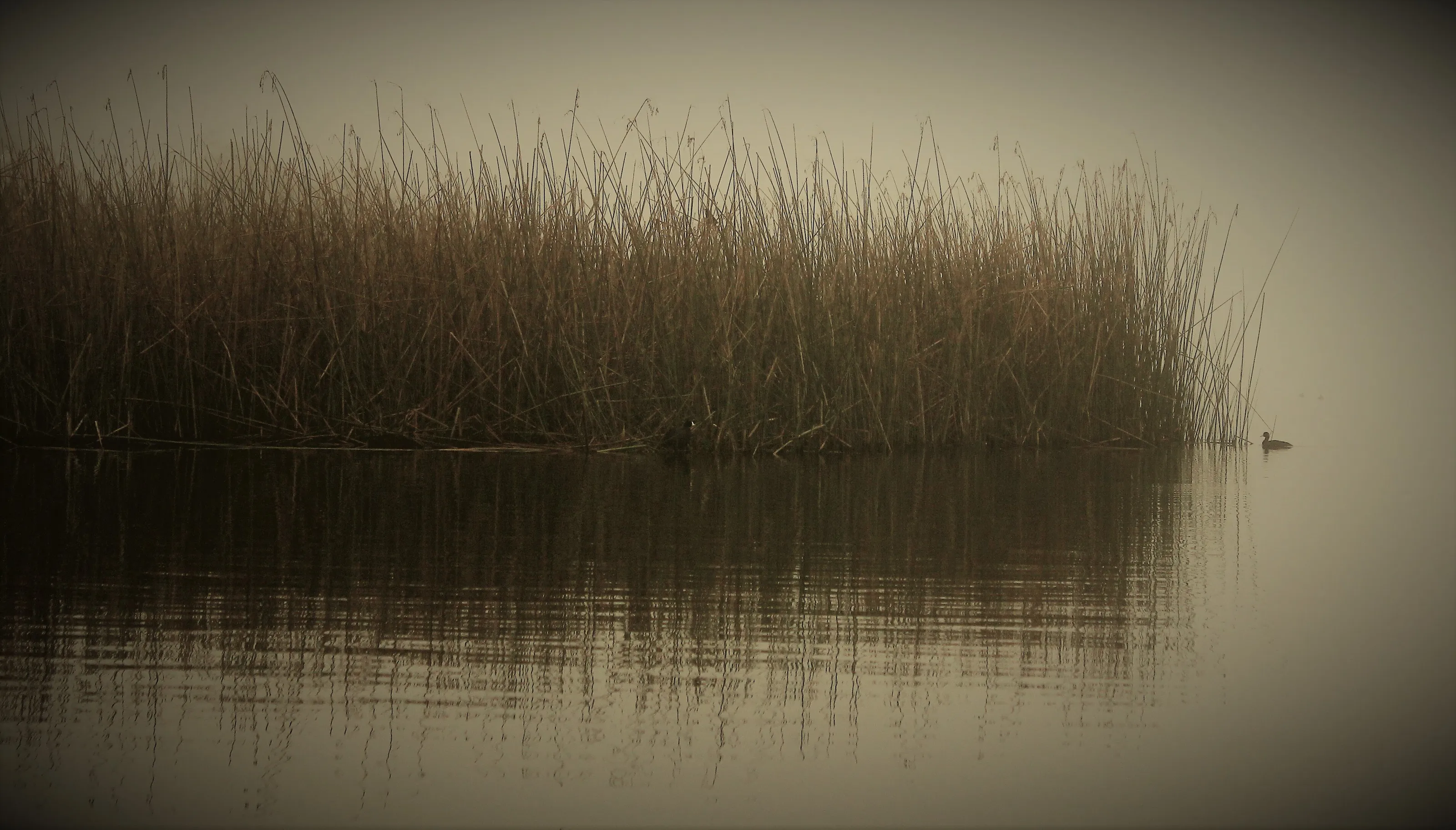 A Place to Hide
