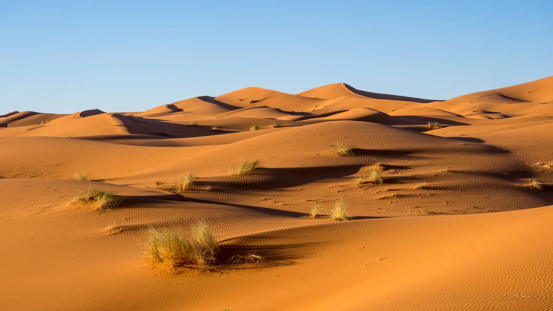 Erg Chebbi