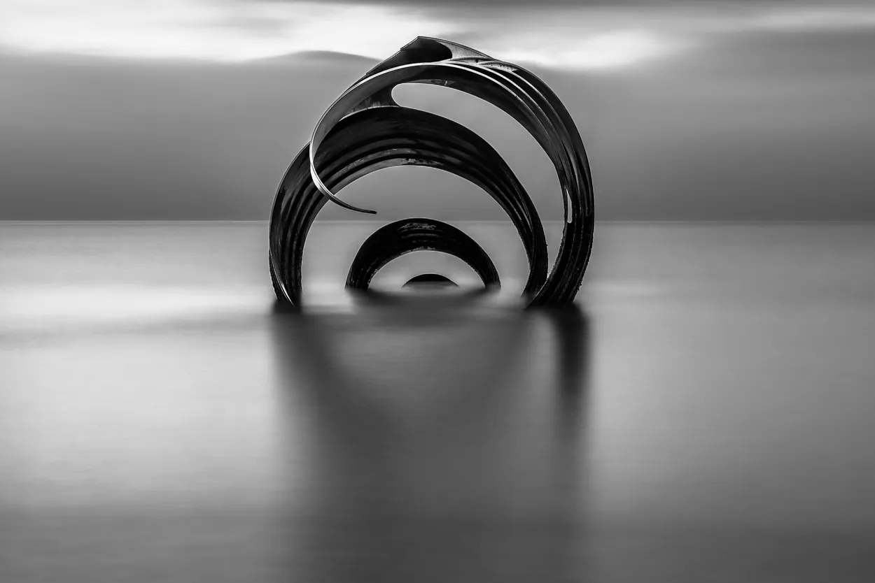 Entry 19779260
