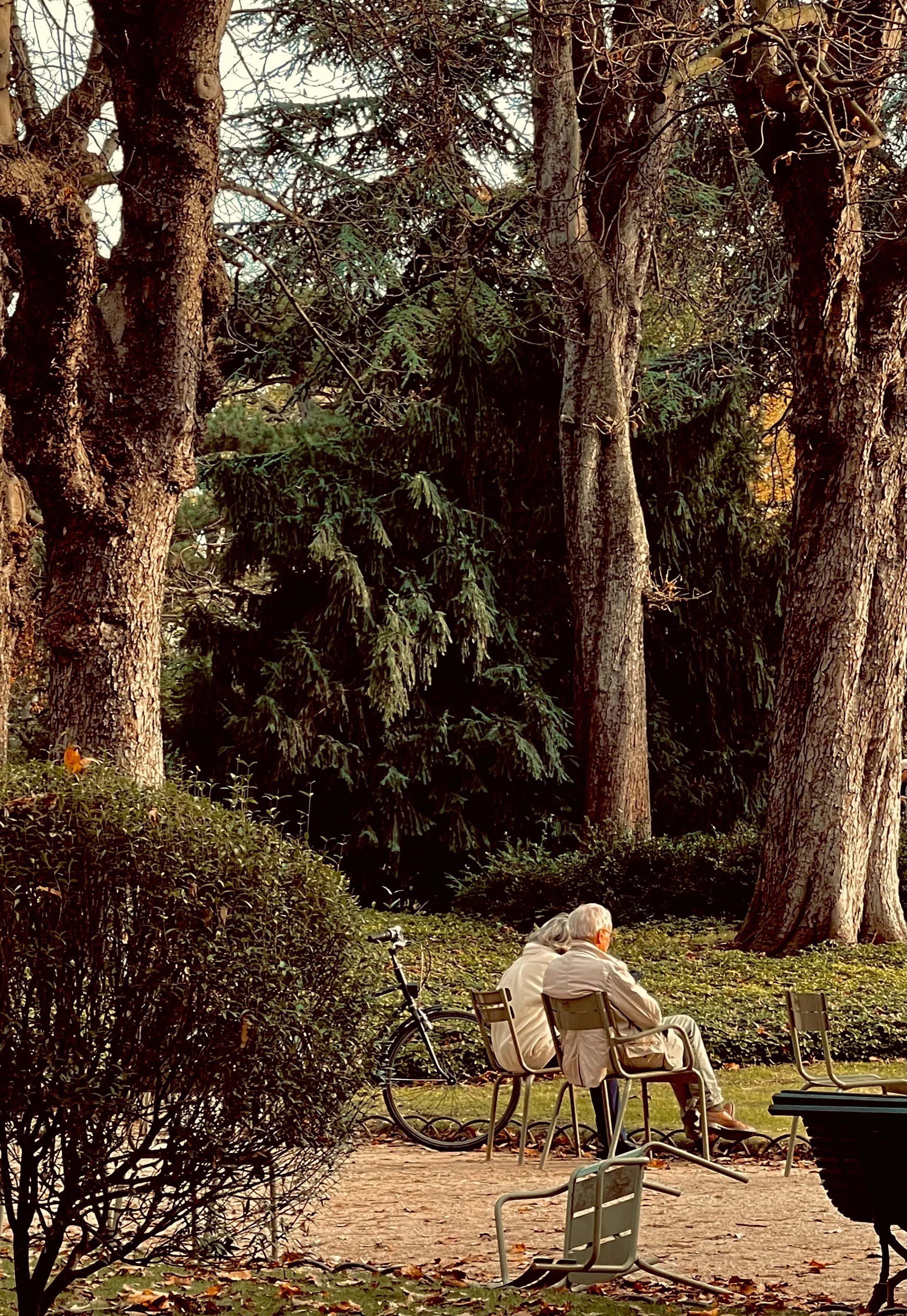 Saturday in the Park