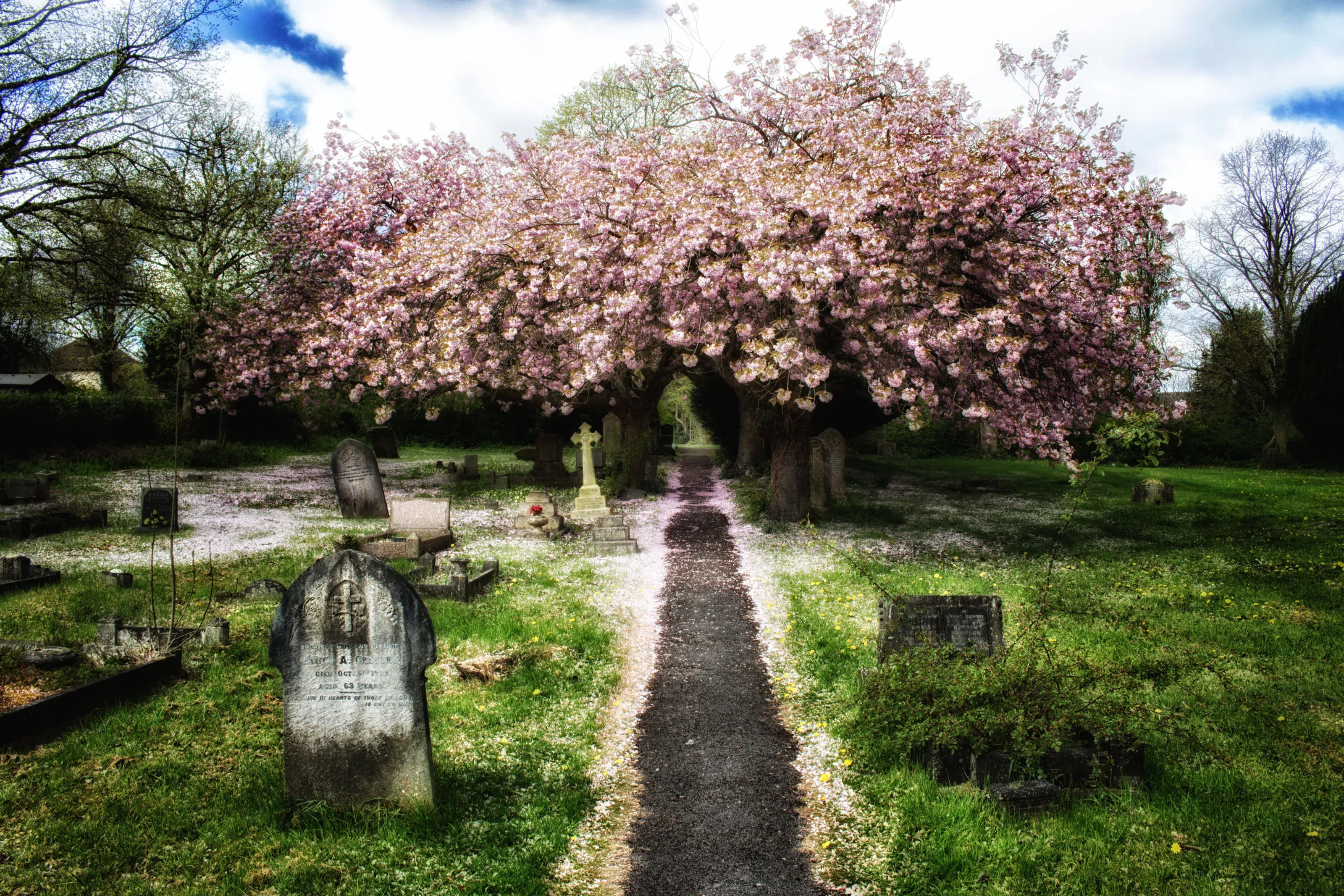 Life and Death
