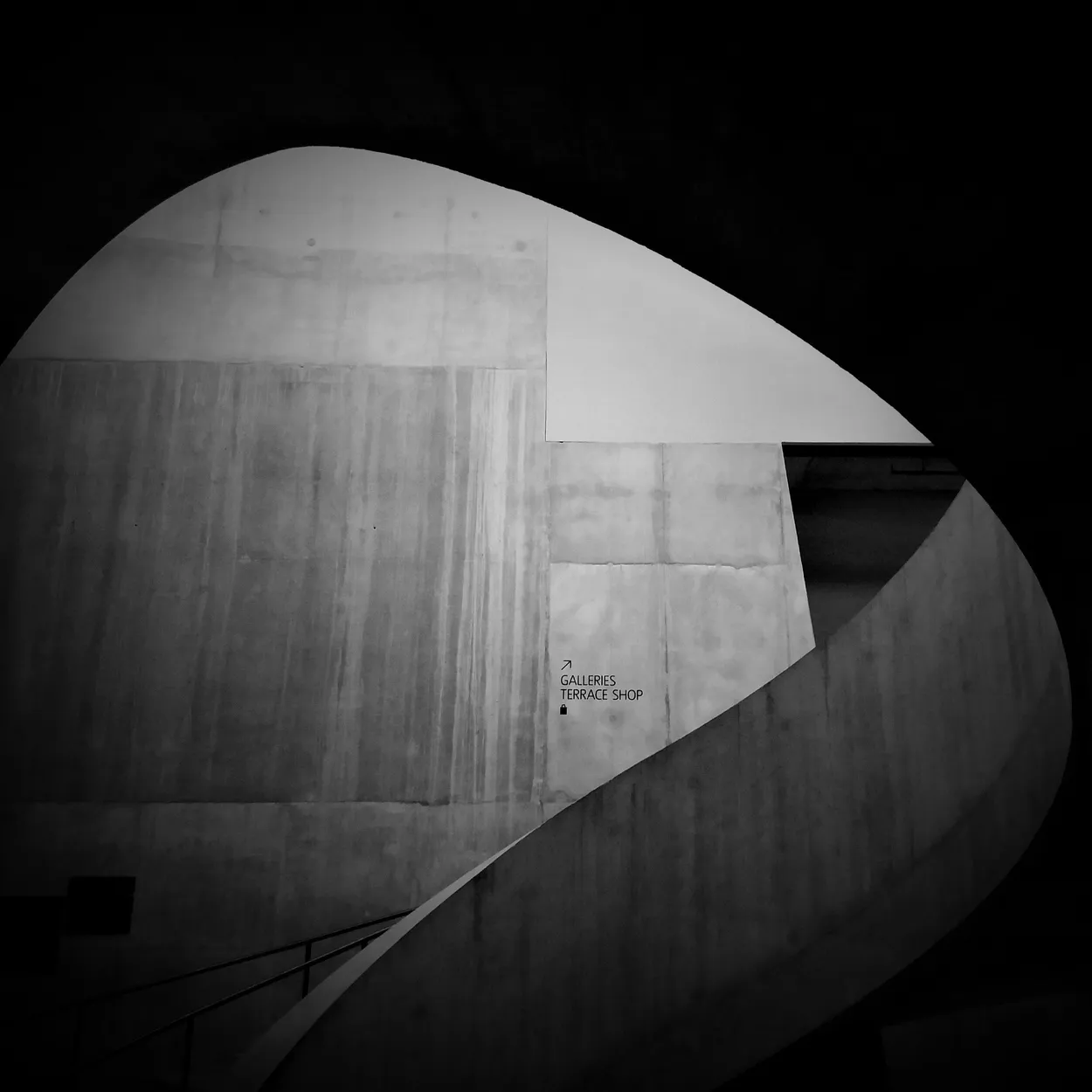 Entry 19046315