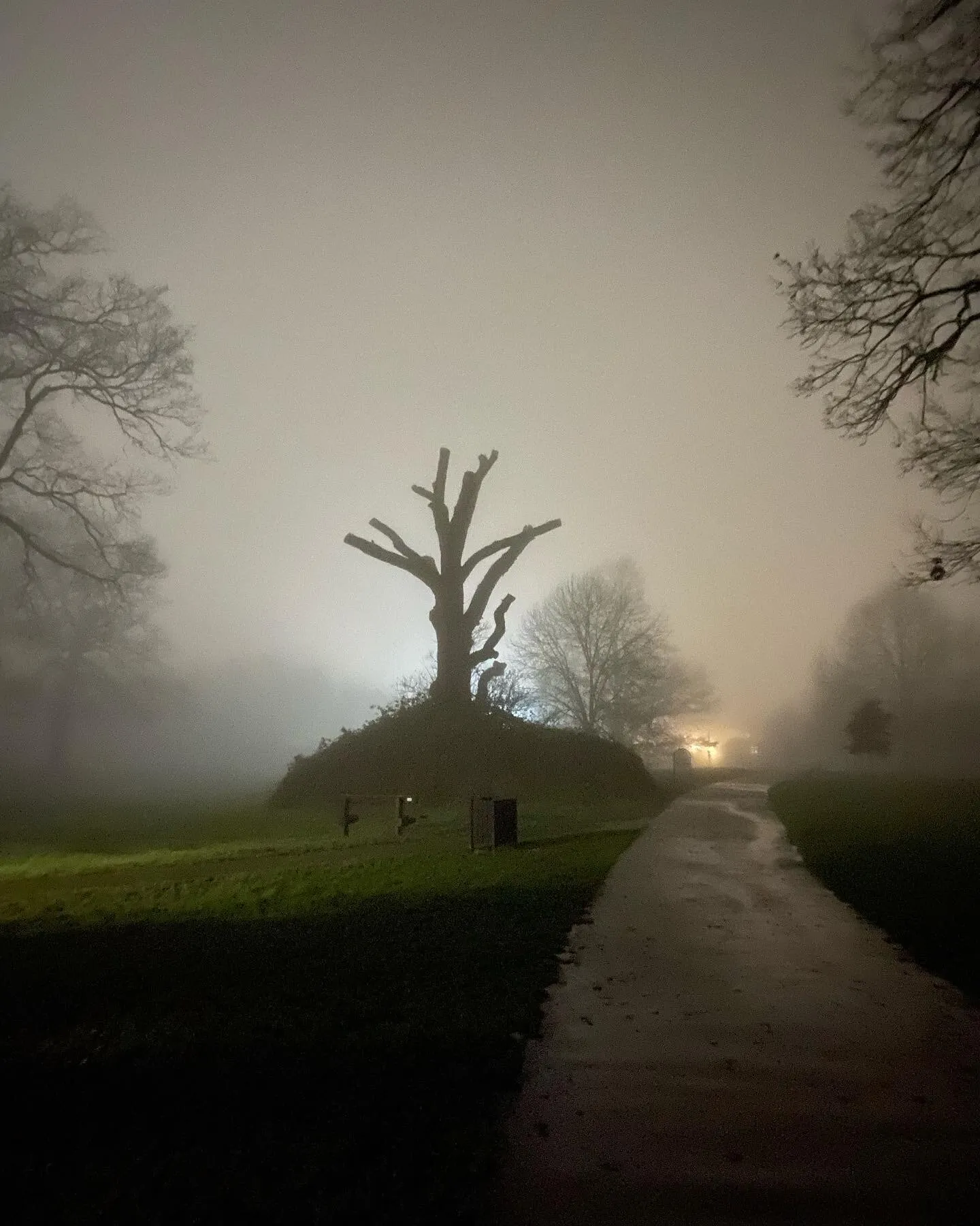 The fog