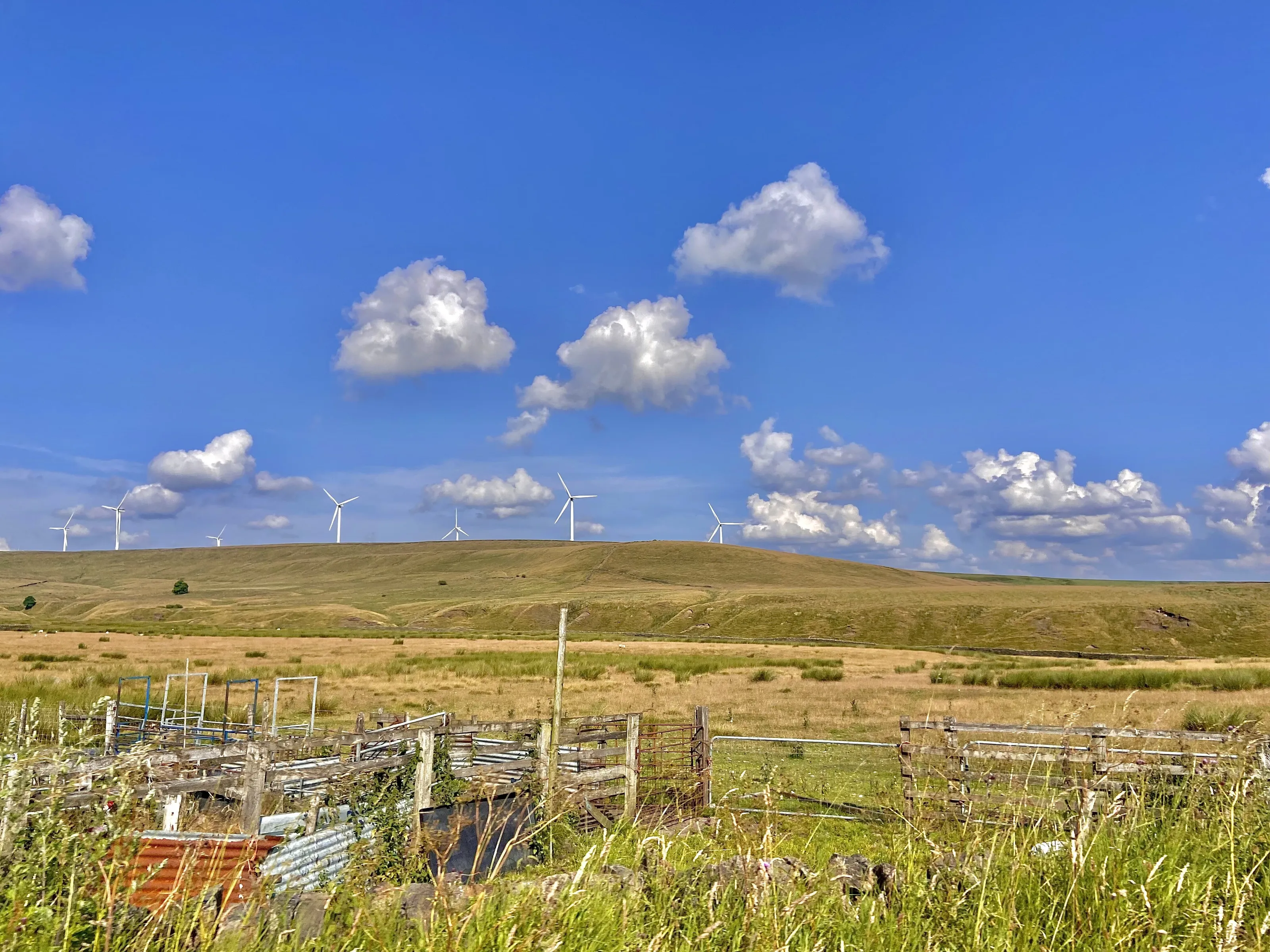 Sunny day on the moors
