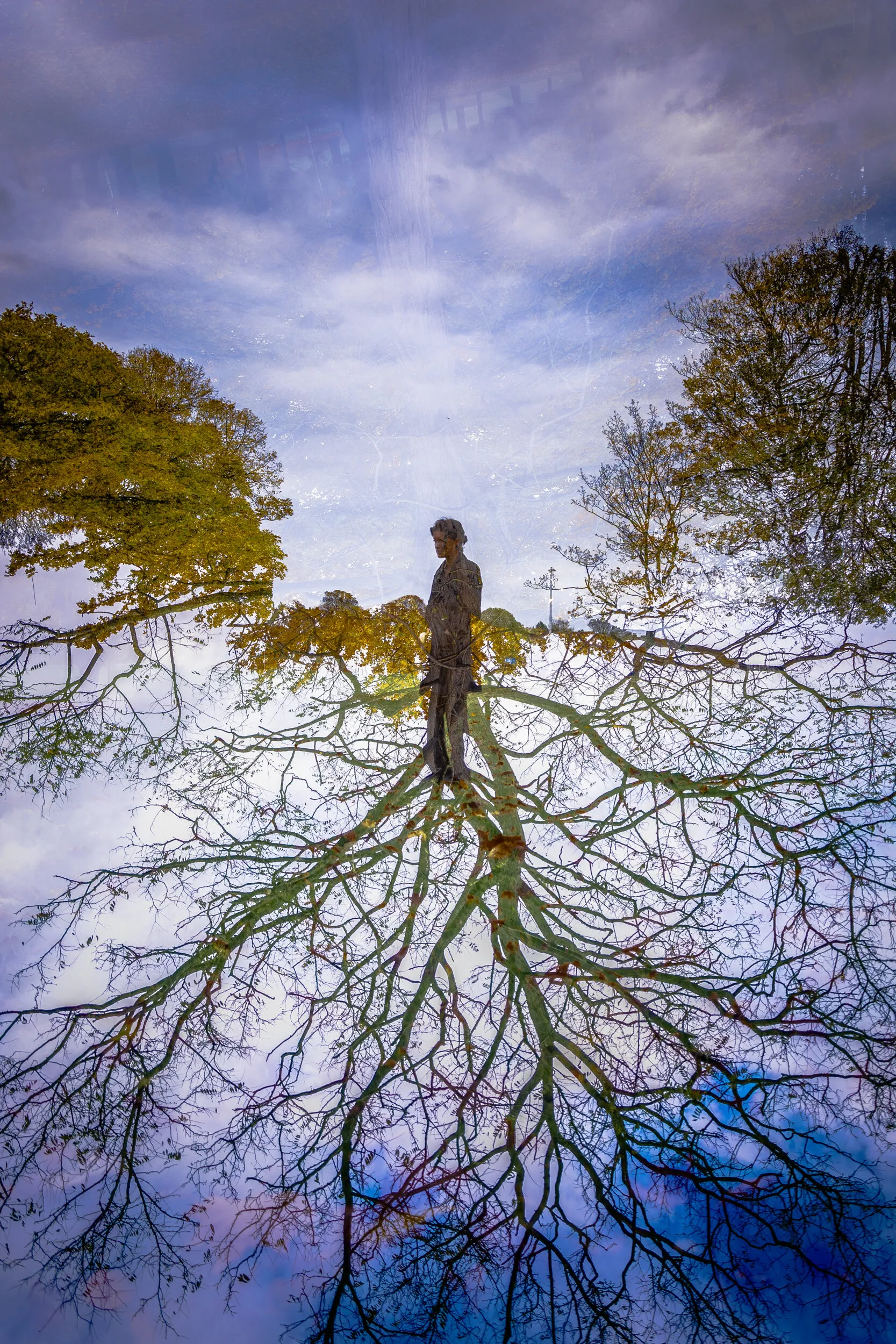 Rooted