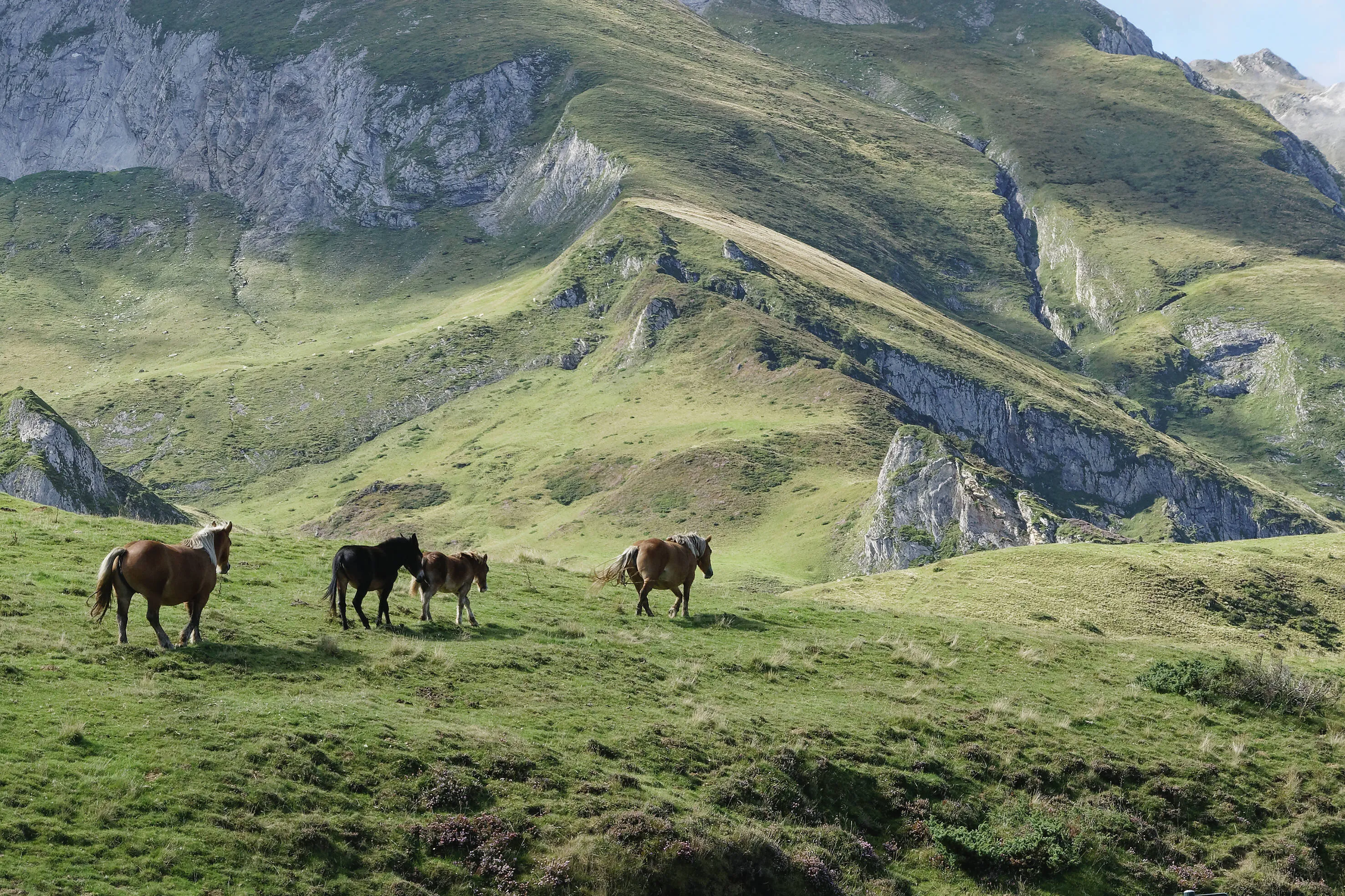 Le Soulor (Pyrenees)