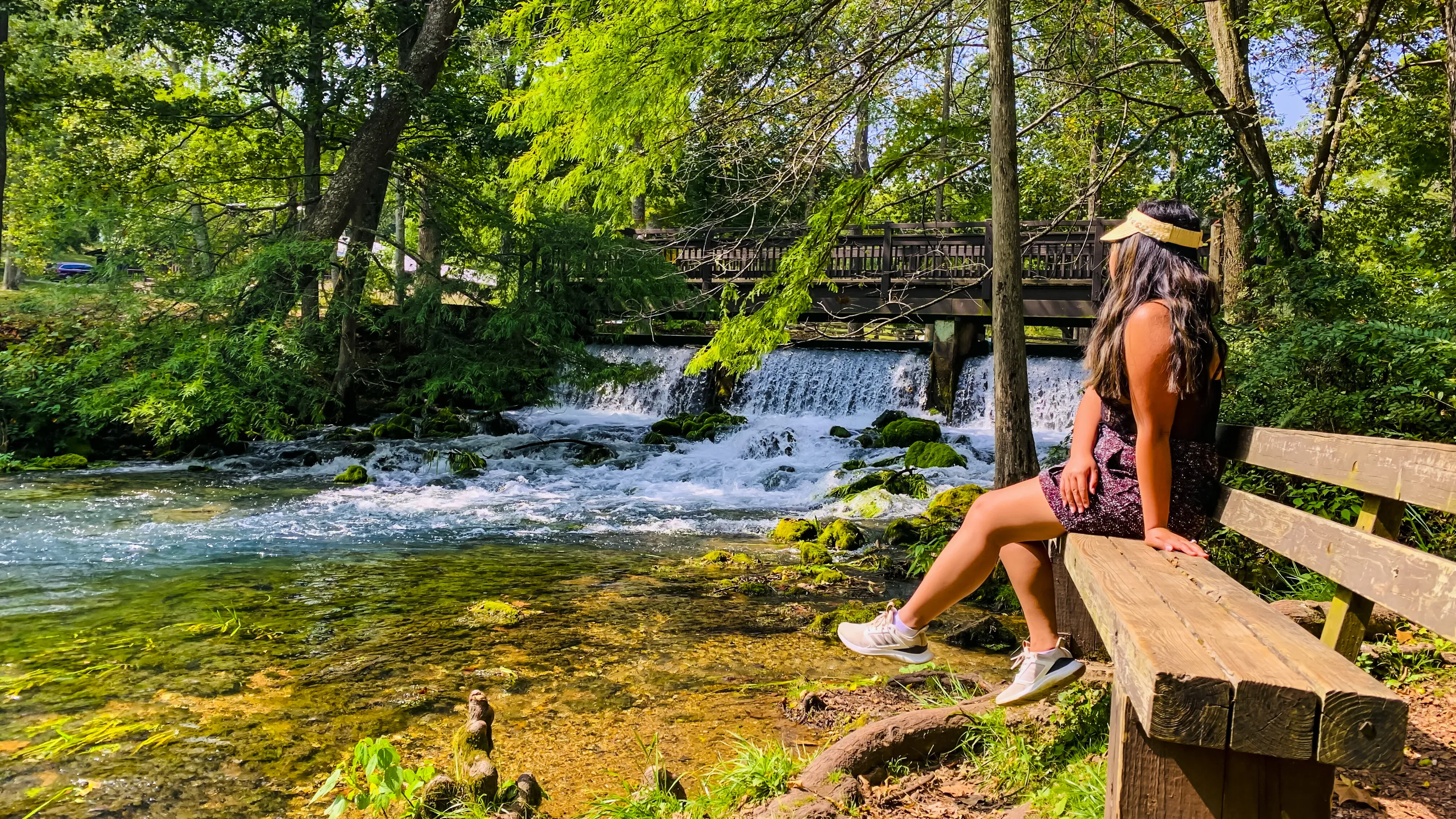 Banner image