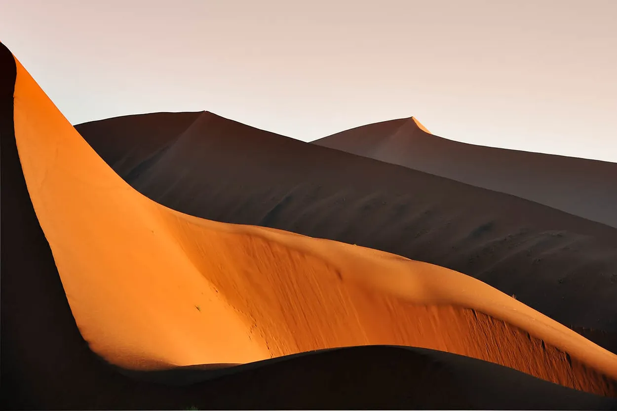 Entry 1249020