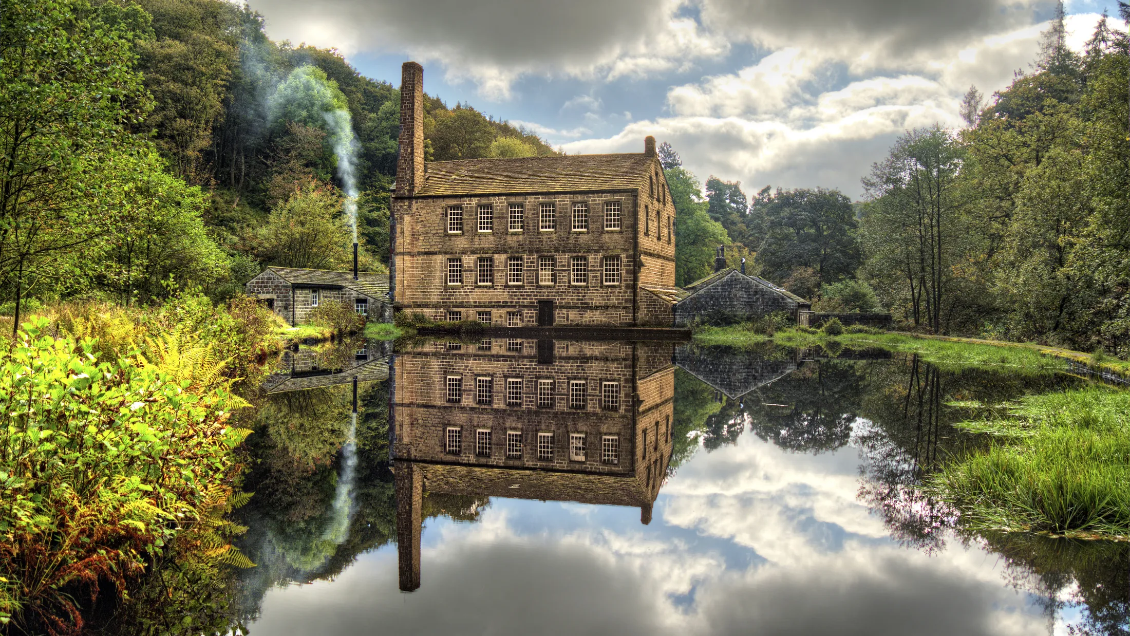 Entry 11533019