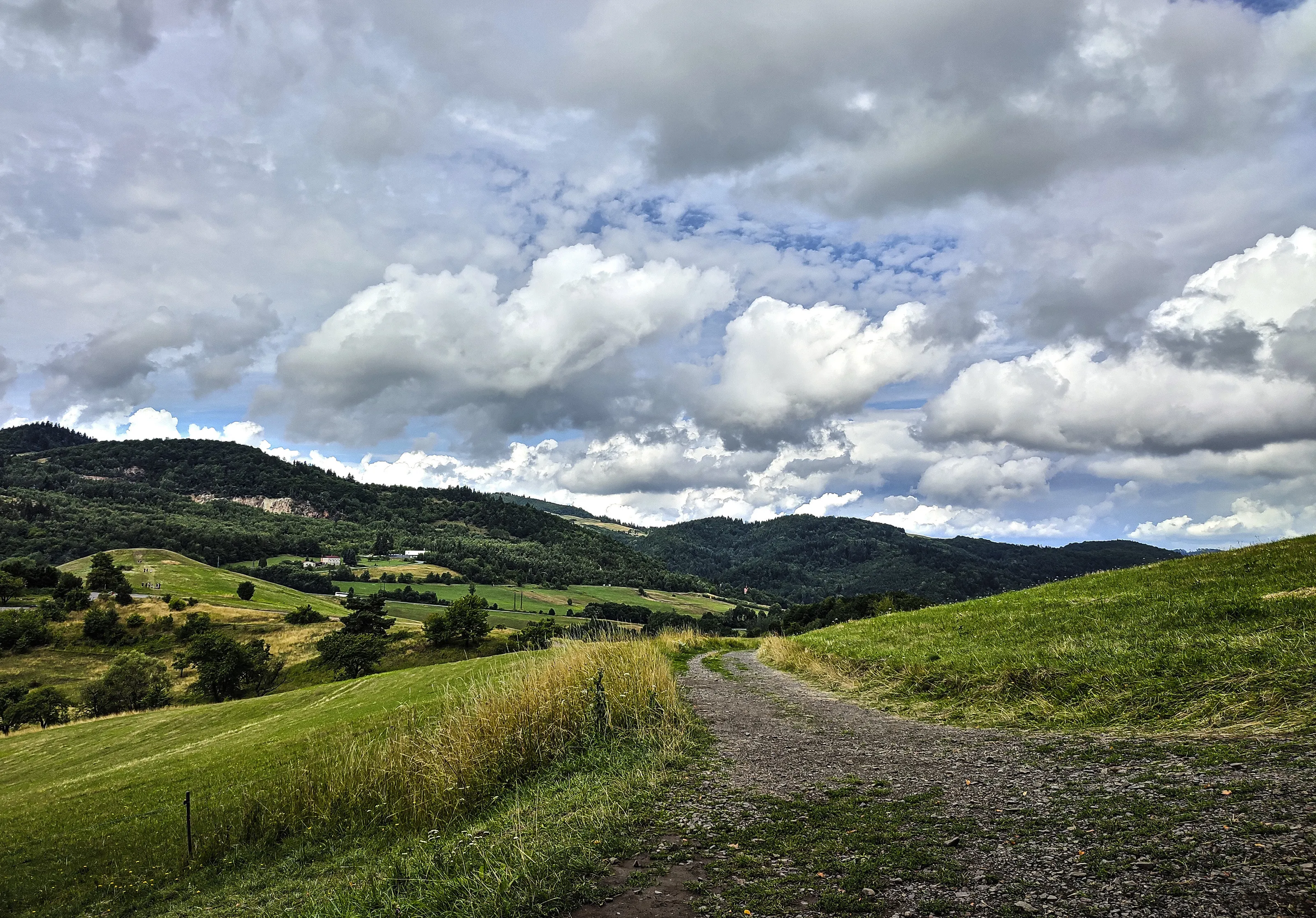 Landscape 1