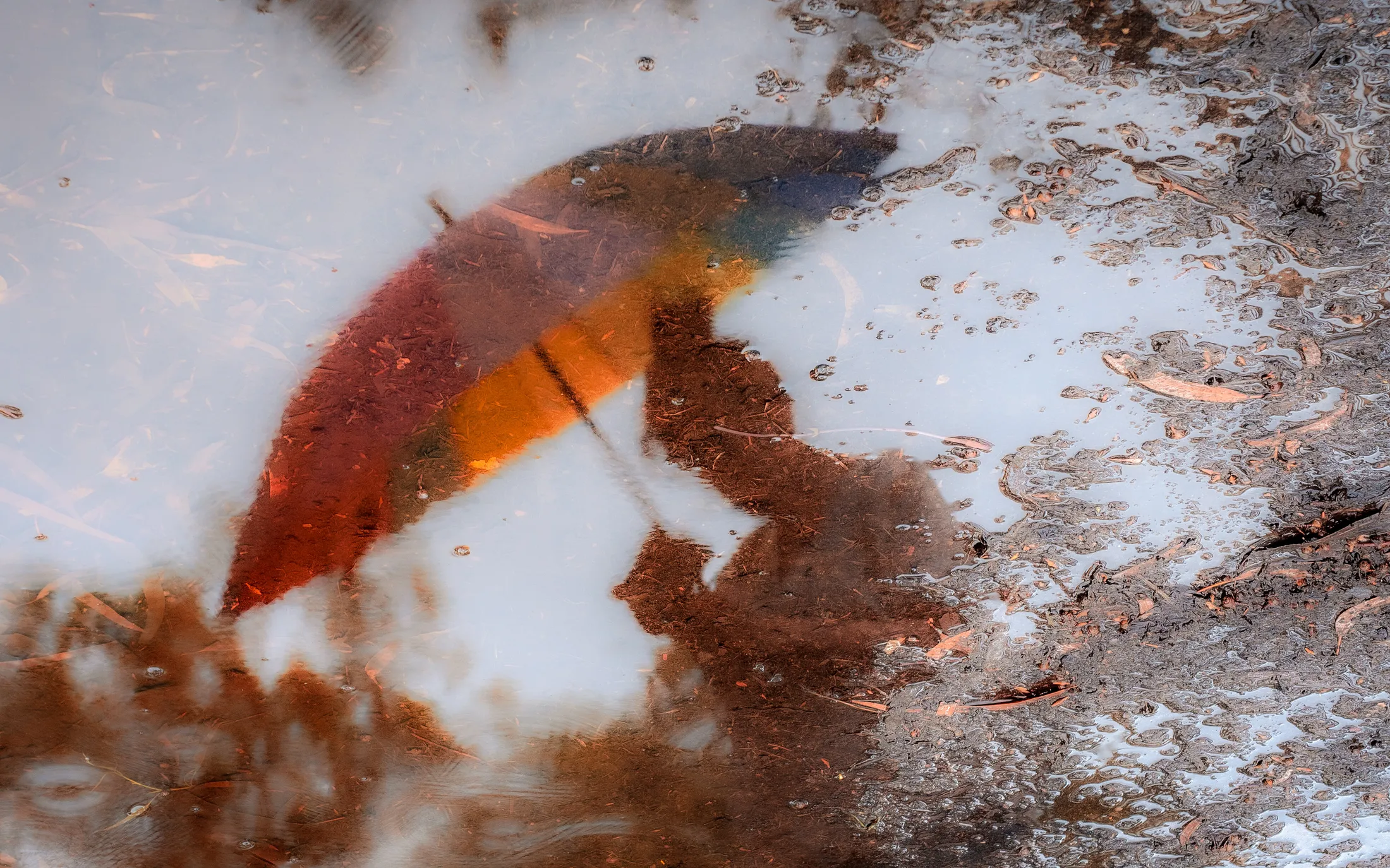 Puddle reflection in the rain