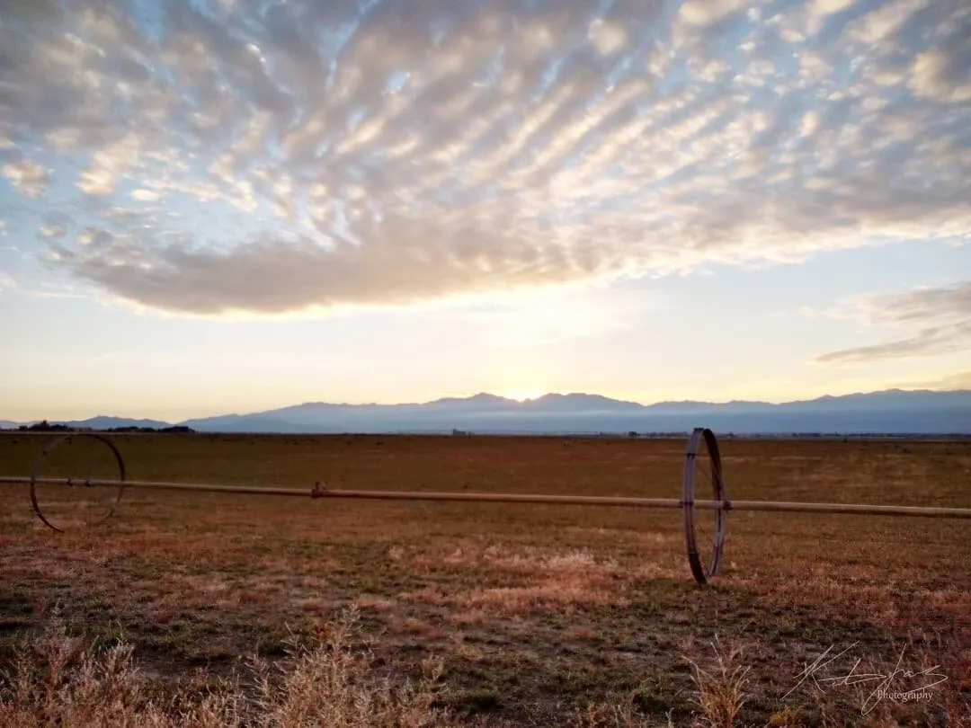 Wide Open Space