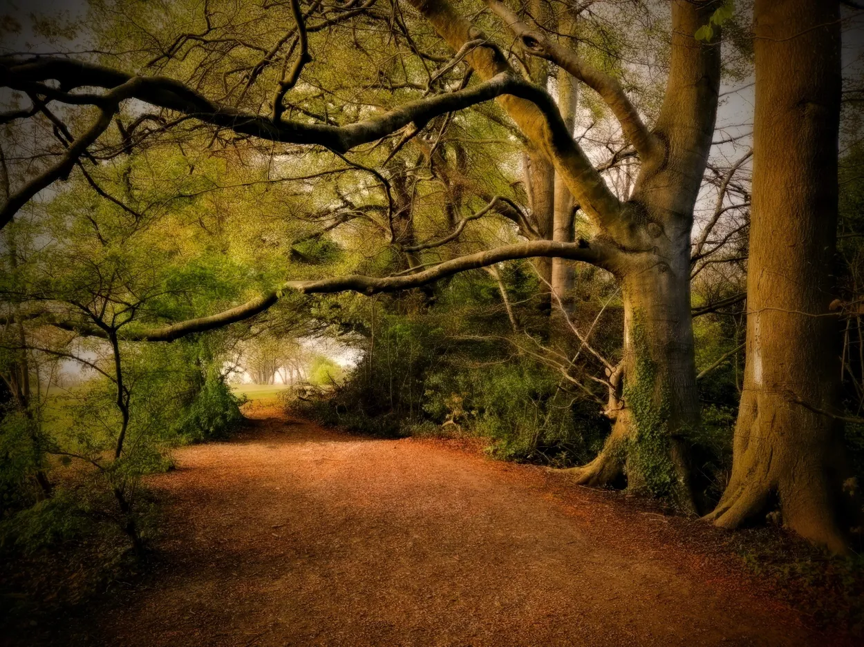 Entry 17113098