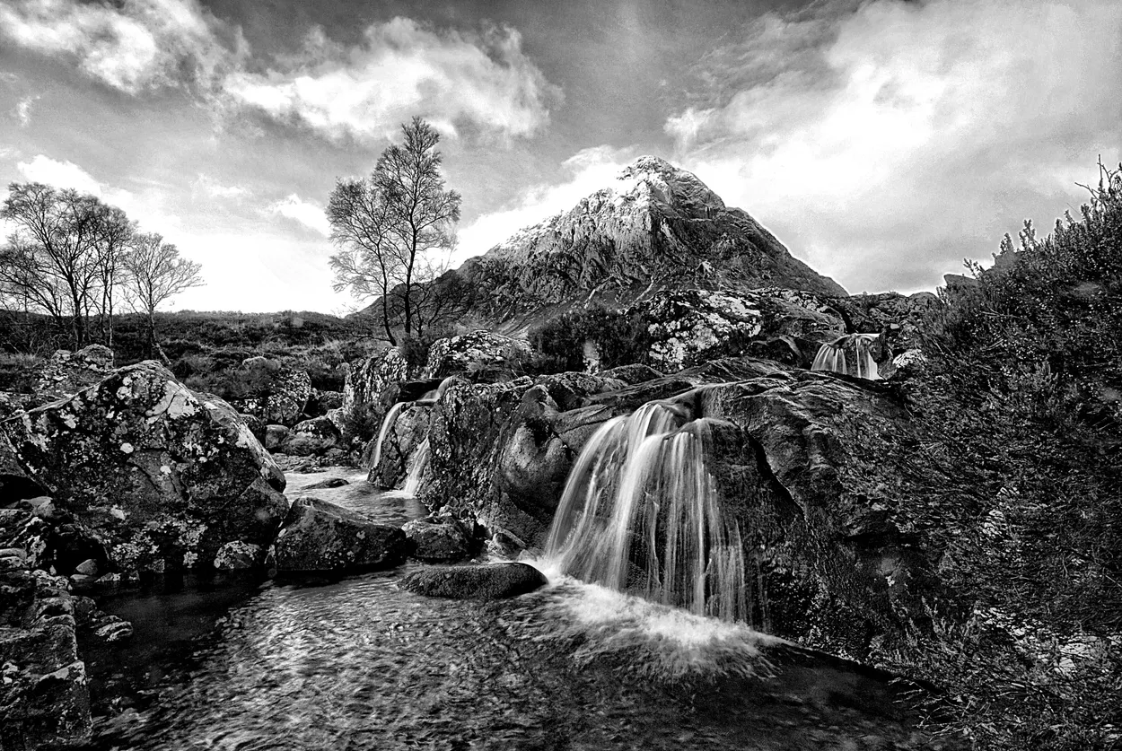 Entry 11543441