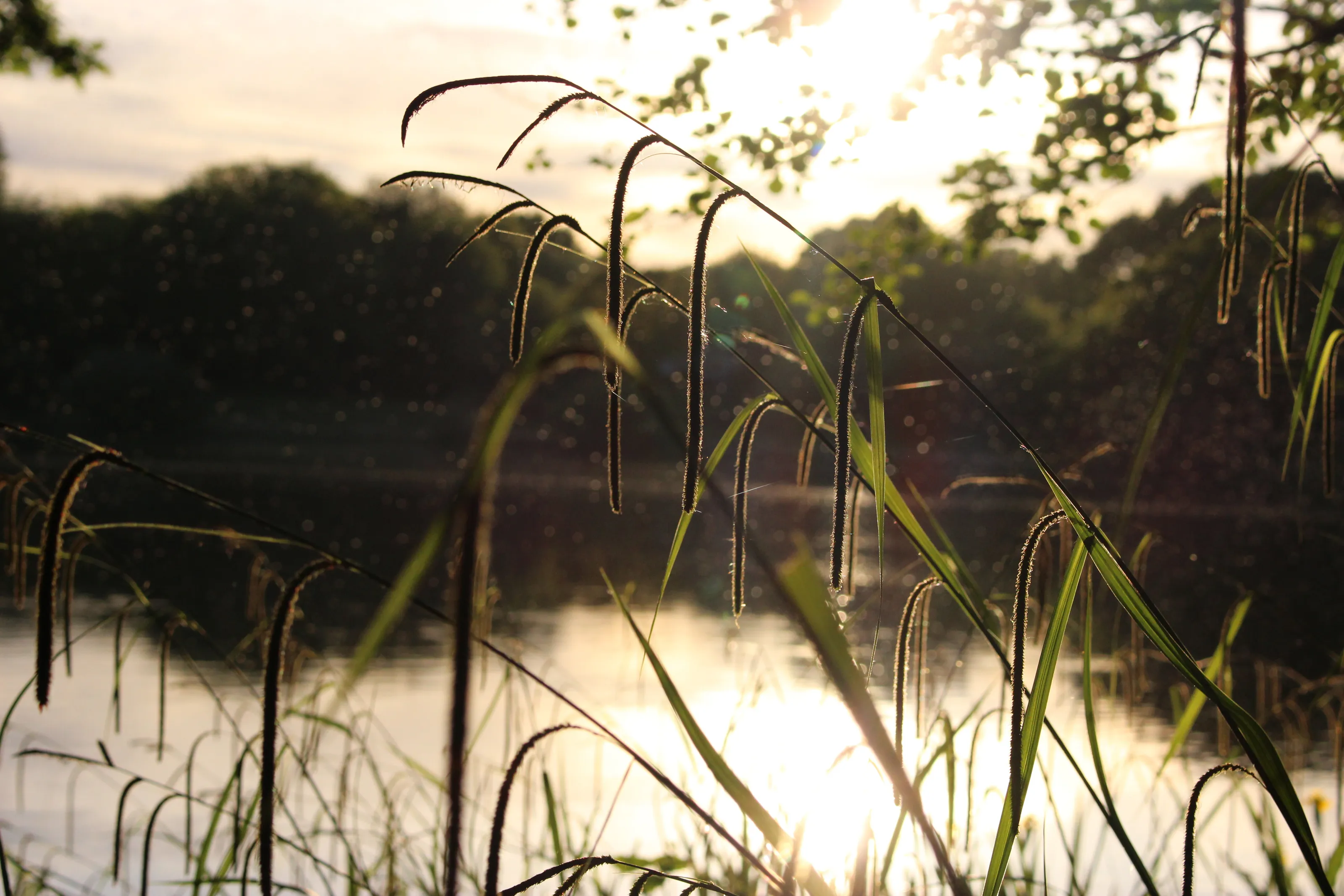 At One with Nature
