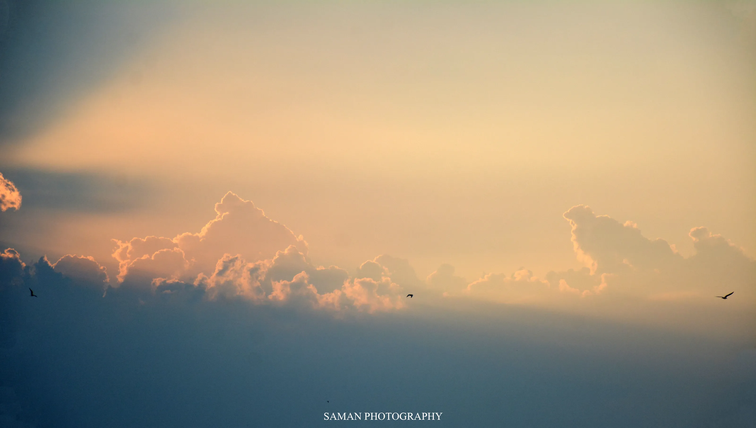 Light in Heaven