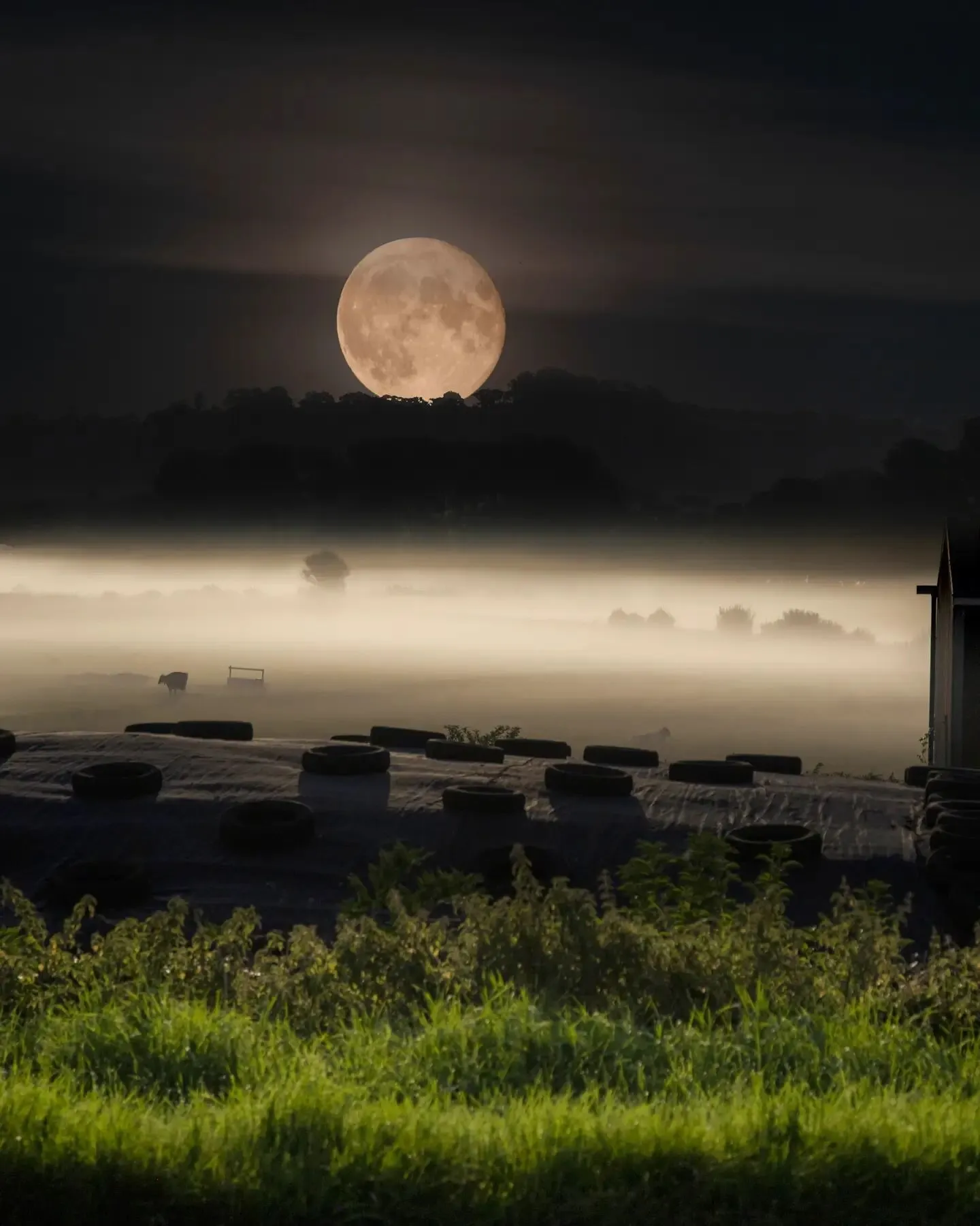 A misty moonscape
